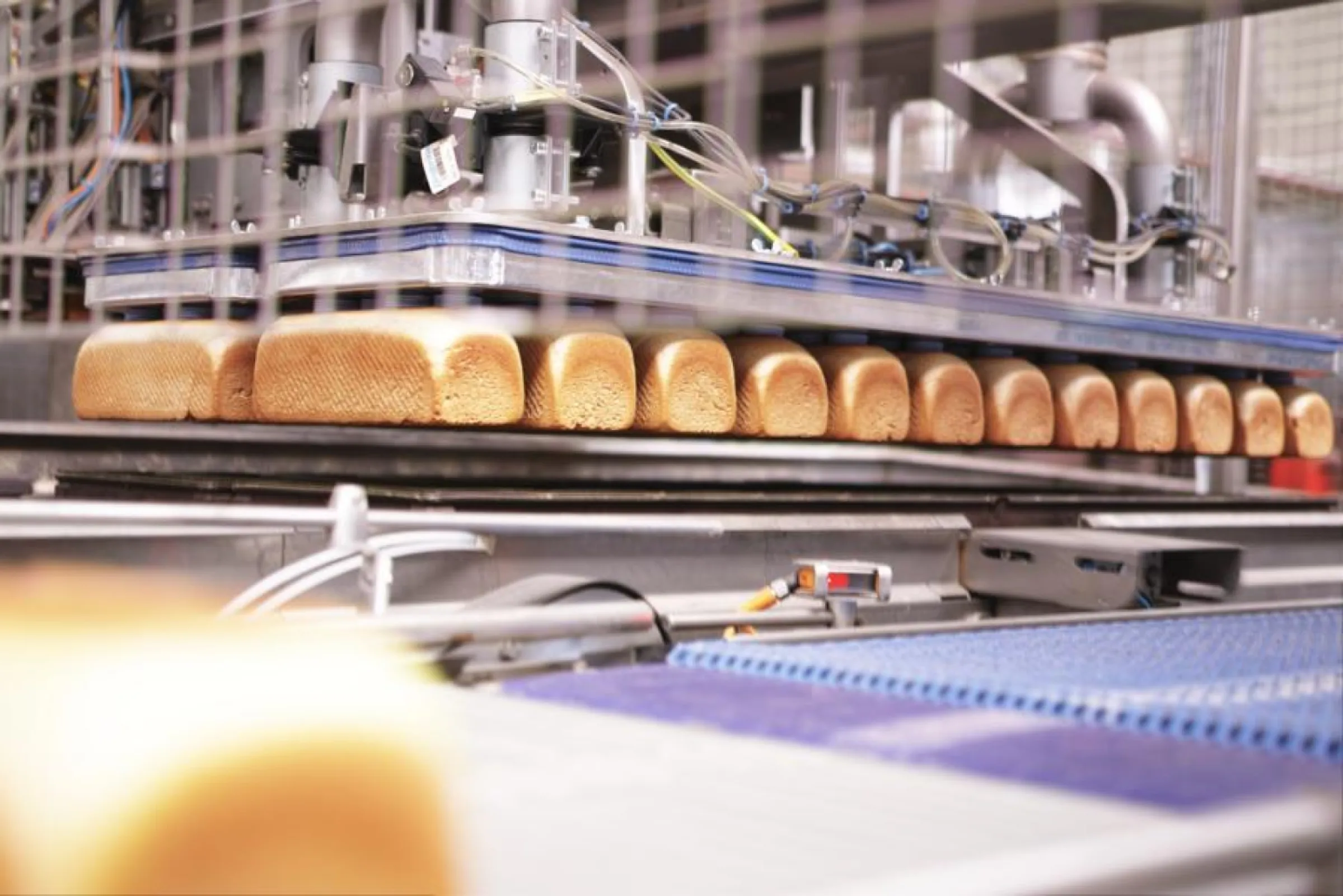 Many years of hands-on experience In planning, disassembling, assembling, installing, commissioning and moving bakery systems