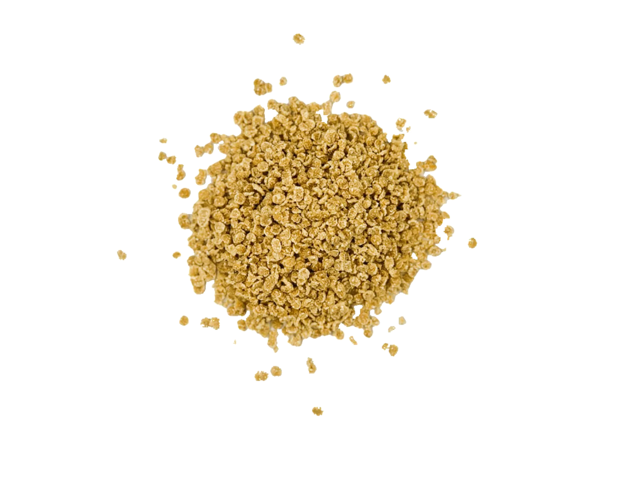 Extruded Pea Flake (EP)