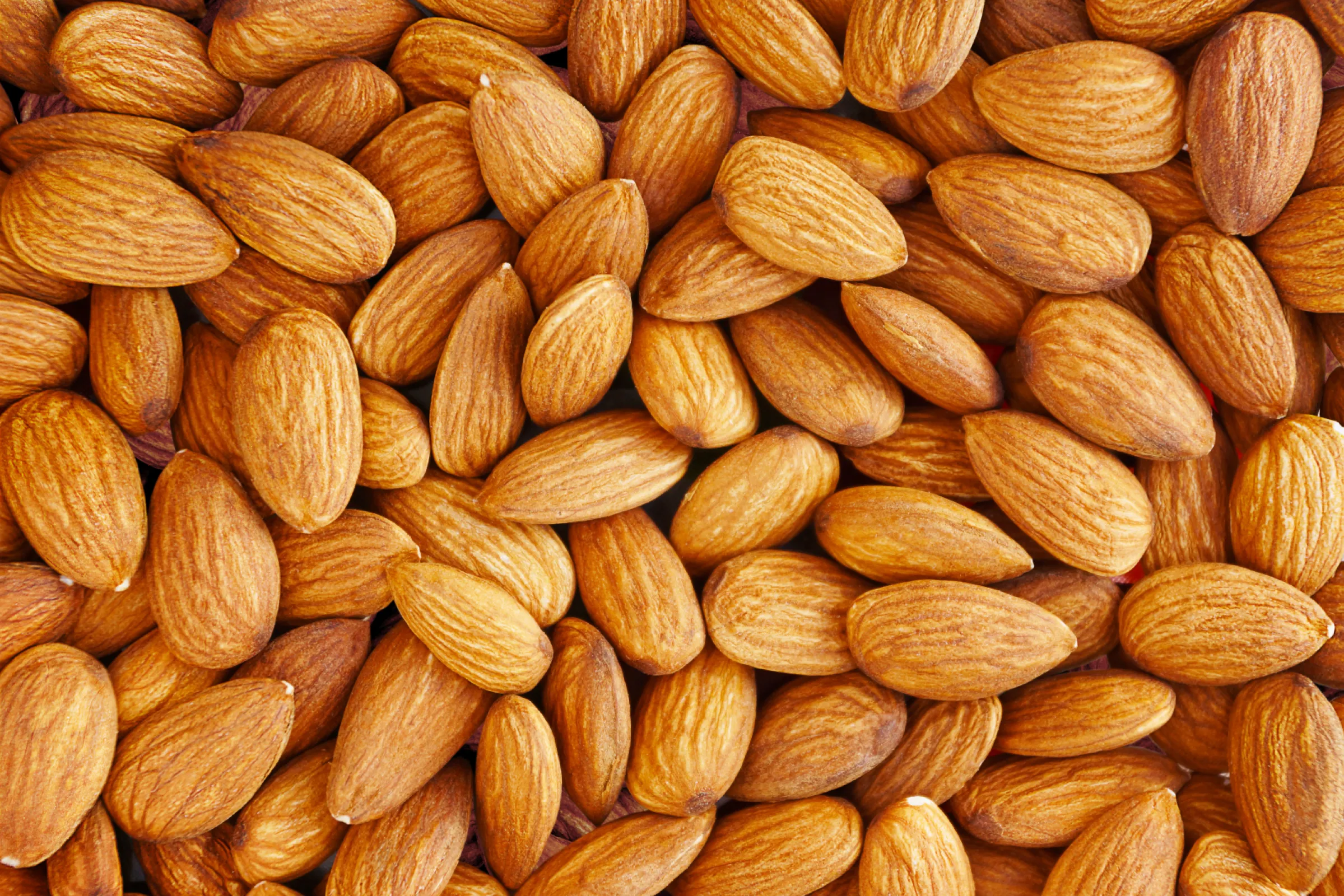 Drying plants for almonds, nuts, extrudates, starch extrudates etc.