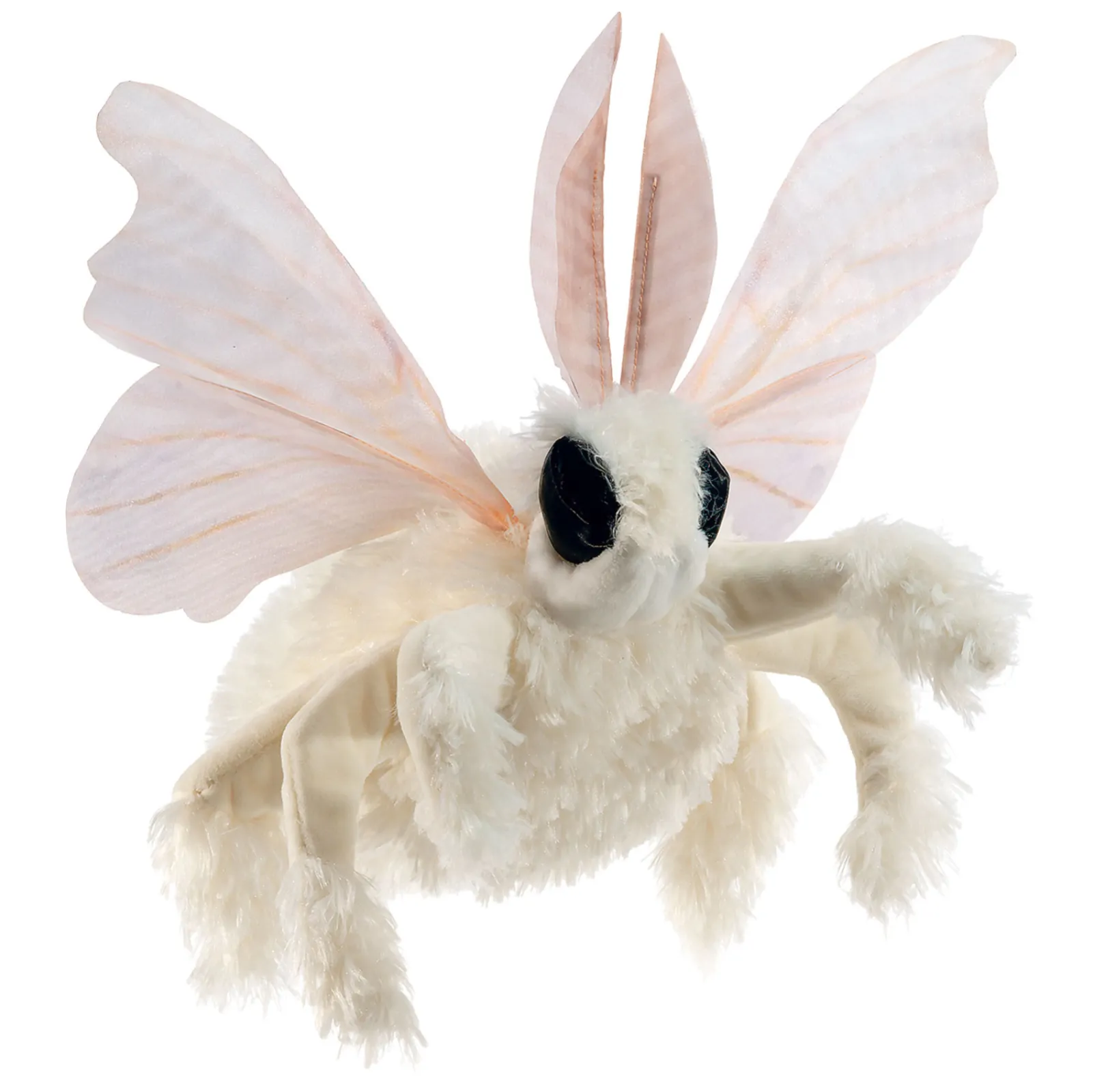 Poodle Moth