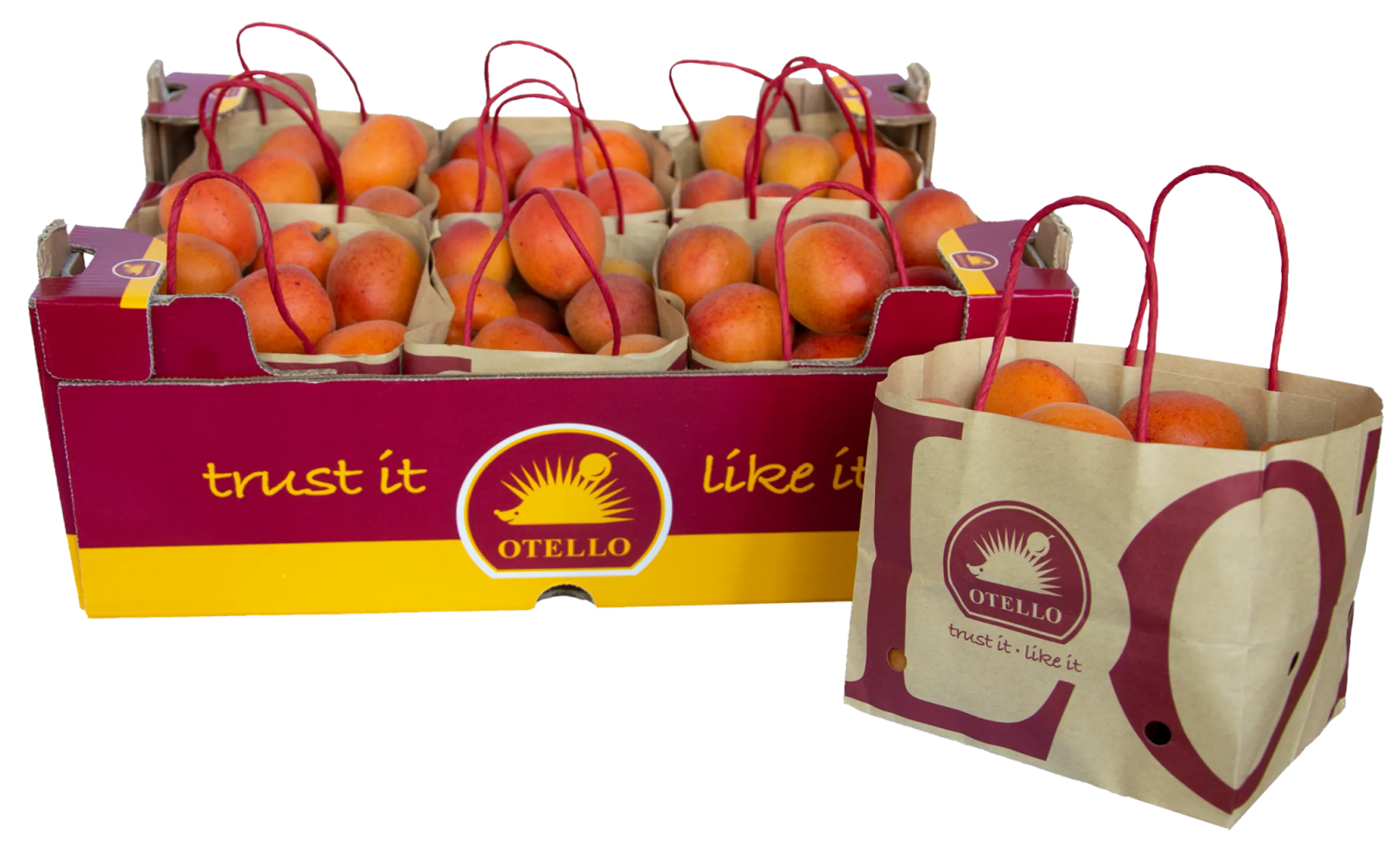 Apricots in the KÖLLA own Brand OTELLO Apricots in the KÖLLA own Brand OTELLO