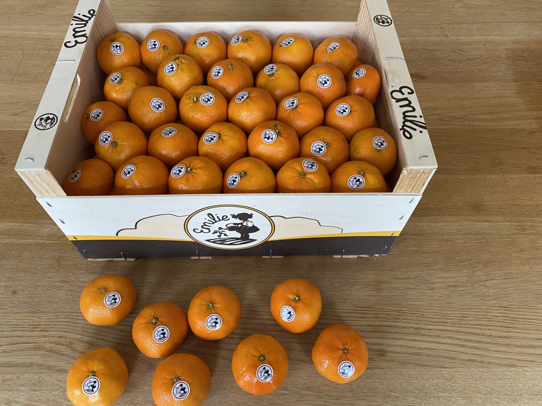 Clementines in KÖLLA own Brand: EMILIR