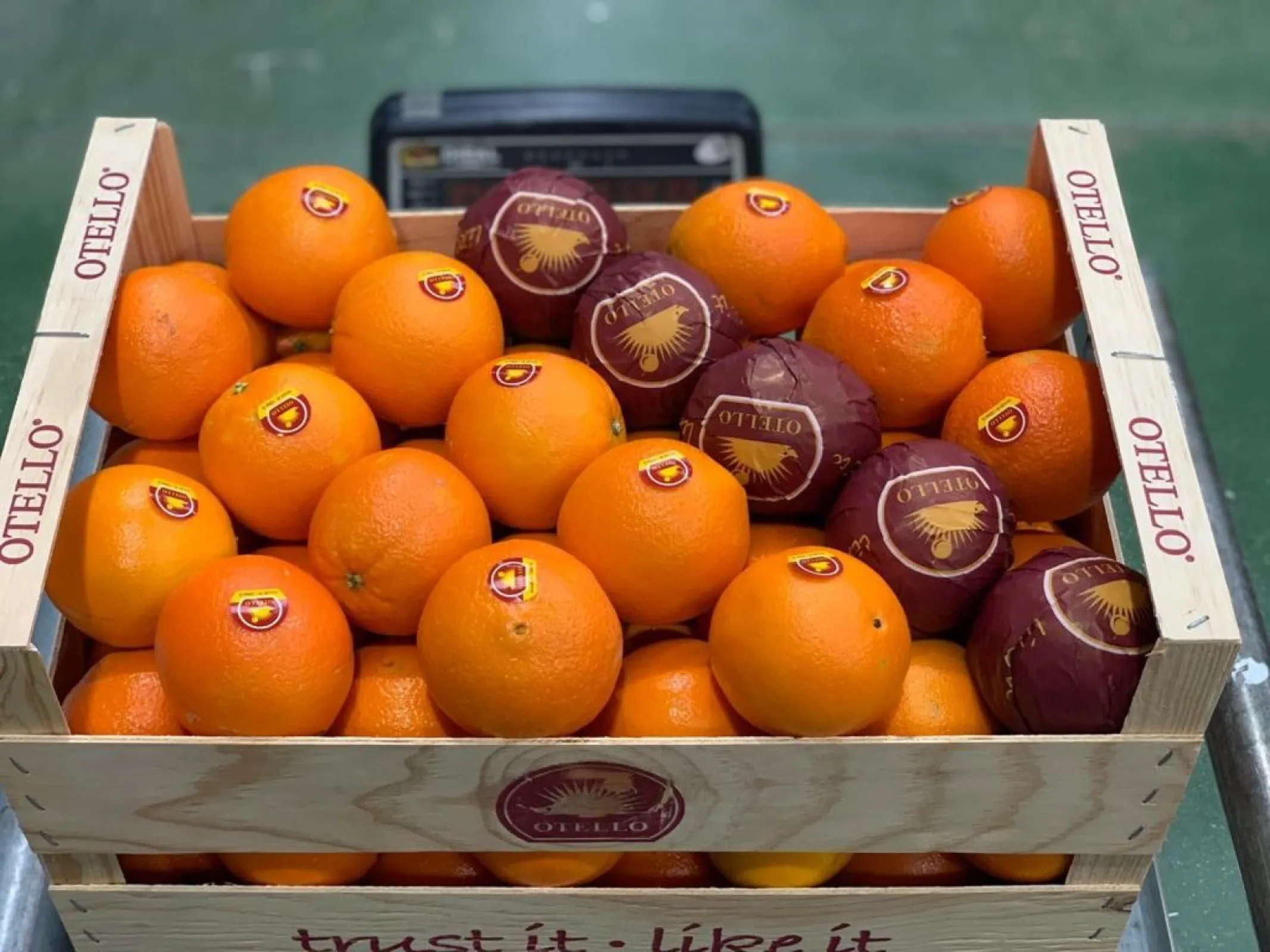 Oranges 15kg in KÖLLA own Brand OTELLO