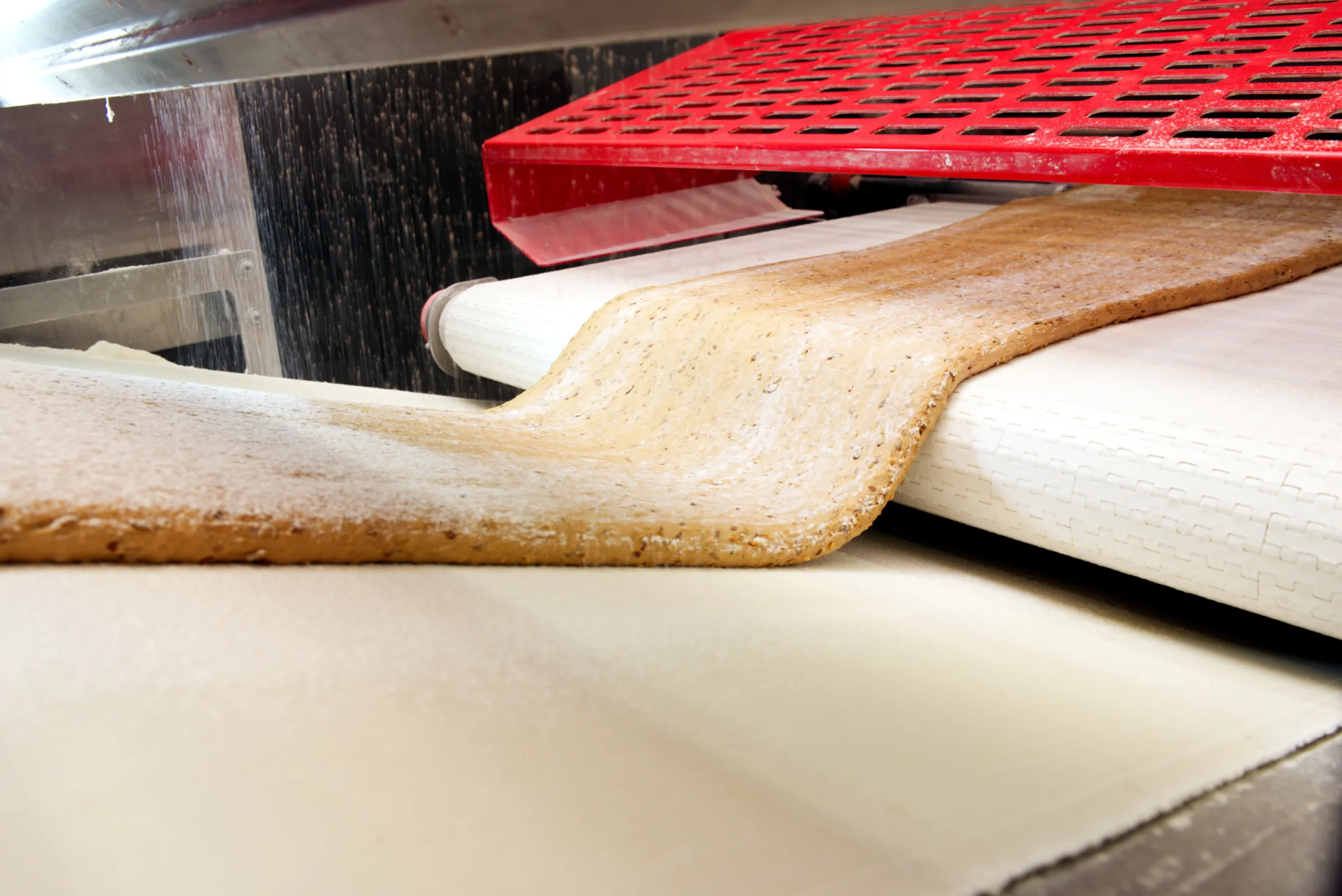 Conveyor belt dough transport