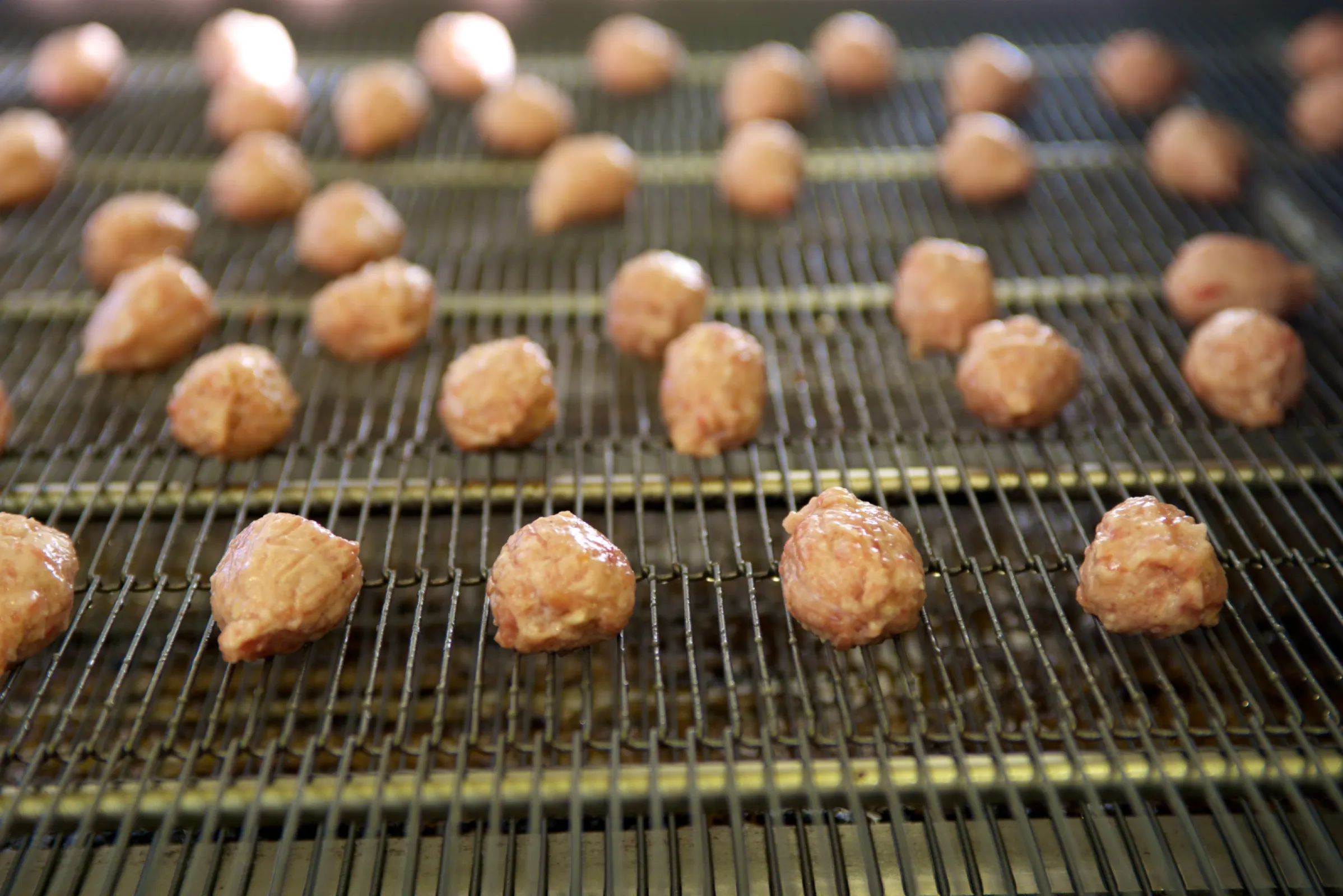 Conveyorbelt Meat processing