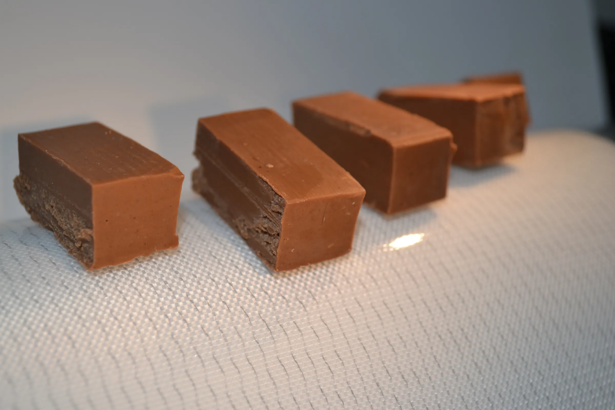 Conveyor belt with silicone coating