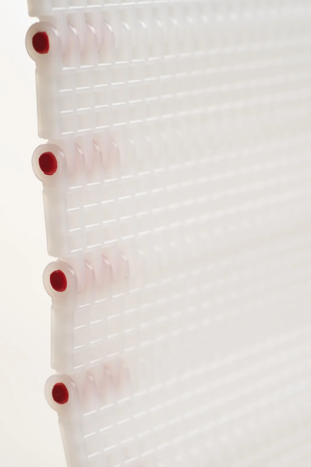 Plastic Modular Belt