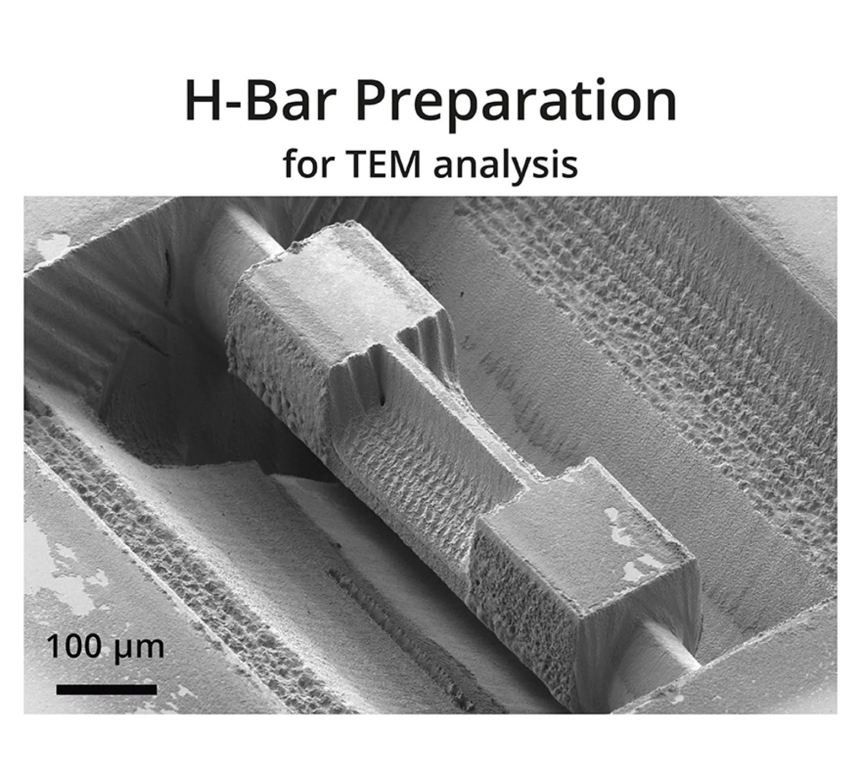 microPREP PRO makes H-bar preparation for TEM analysis easy and fast