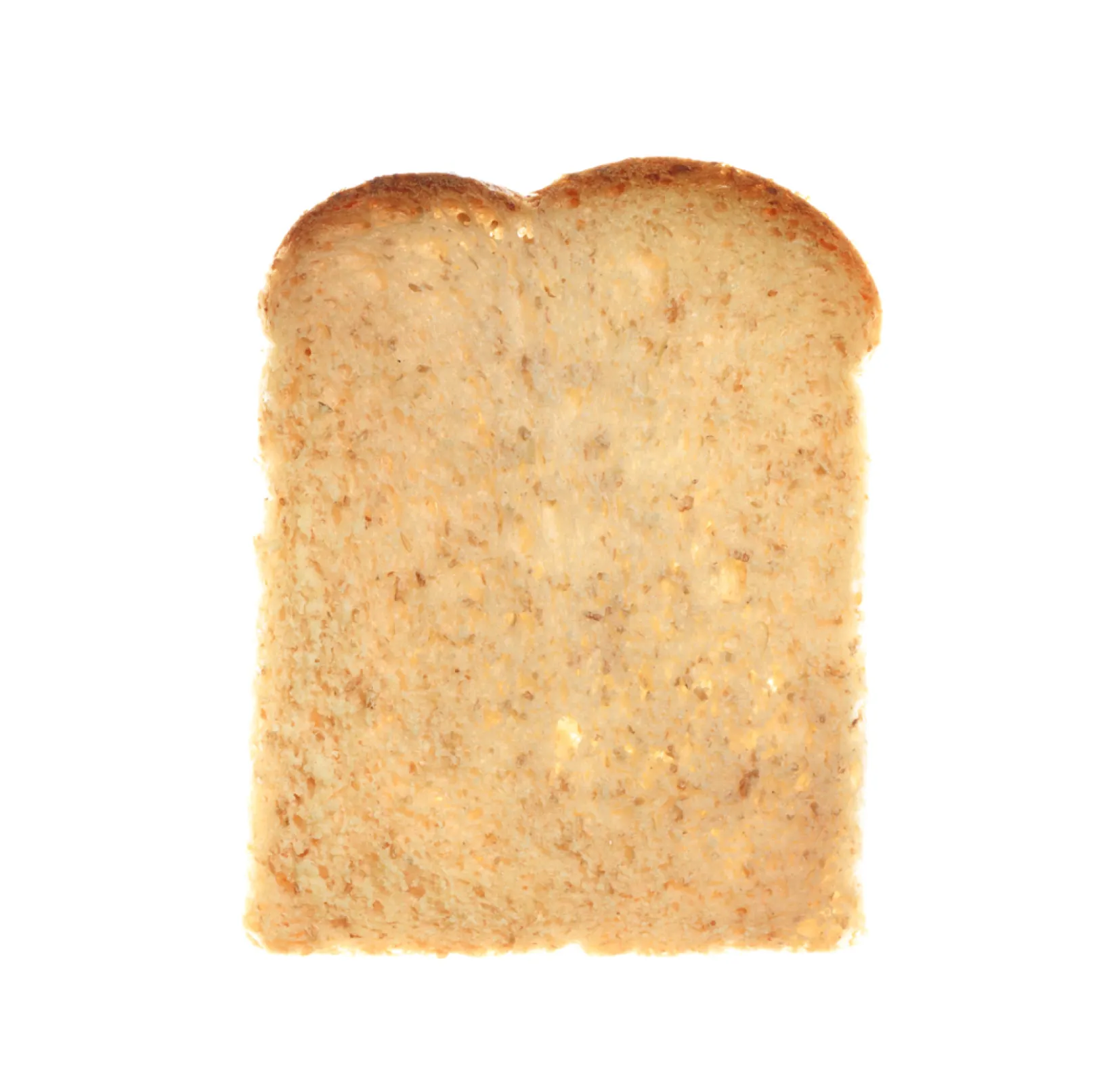 Proportional use in carbohydrate-reduced baked goods • Protein bread and buns • Flour-free baked goods and oil seed baked goods