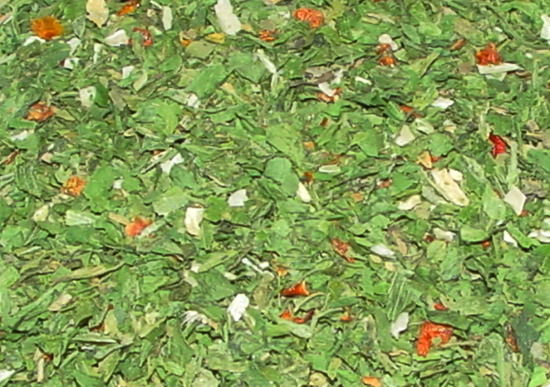 Detailed picture of green 7-Herb Mix grated