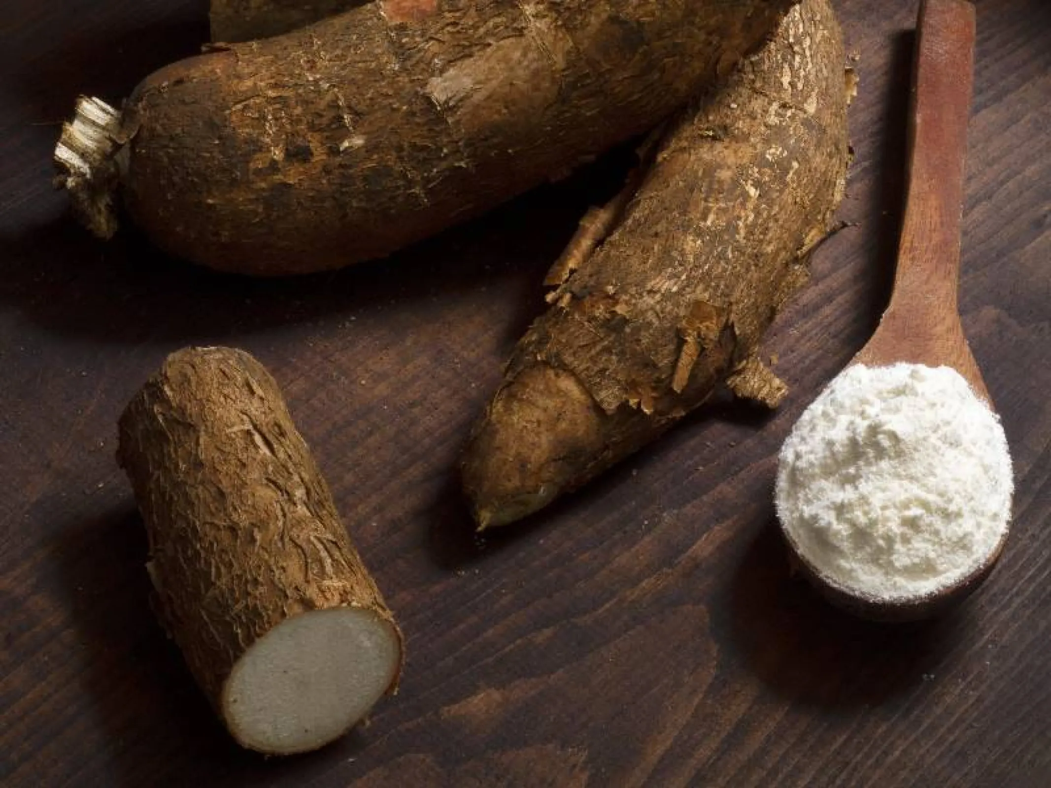 Tapioca based Starches