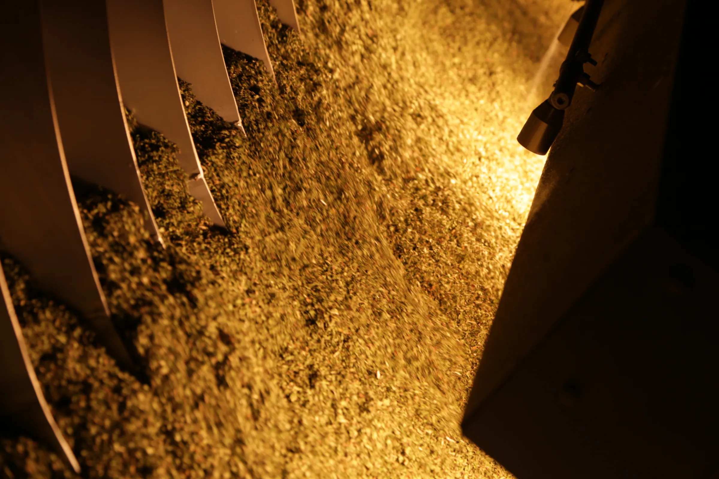 infrared germ reduction