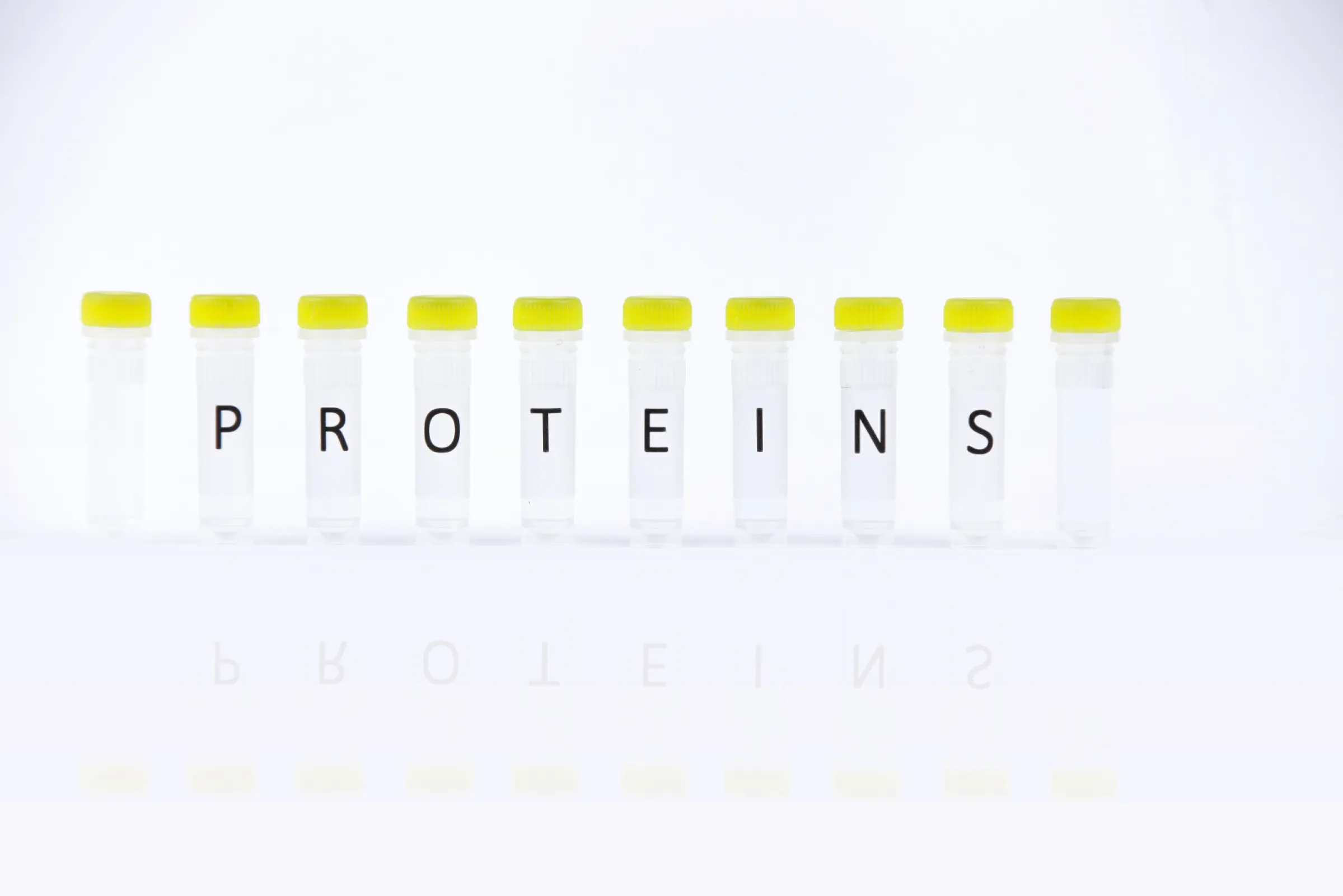 Proteins