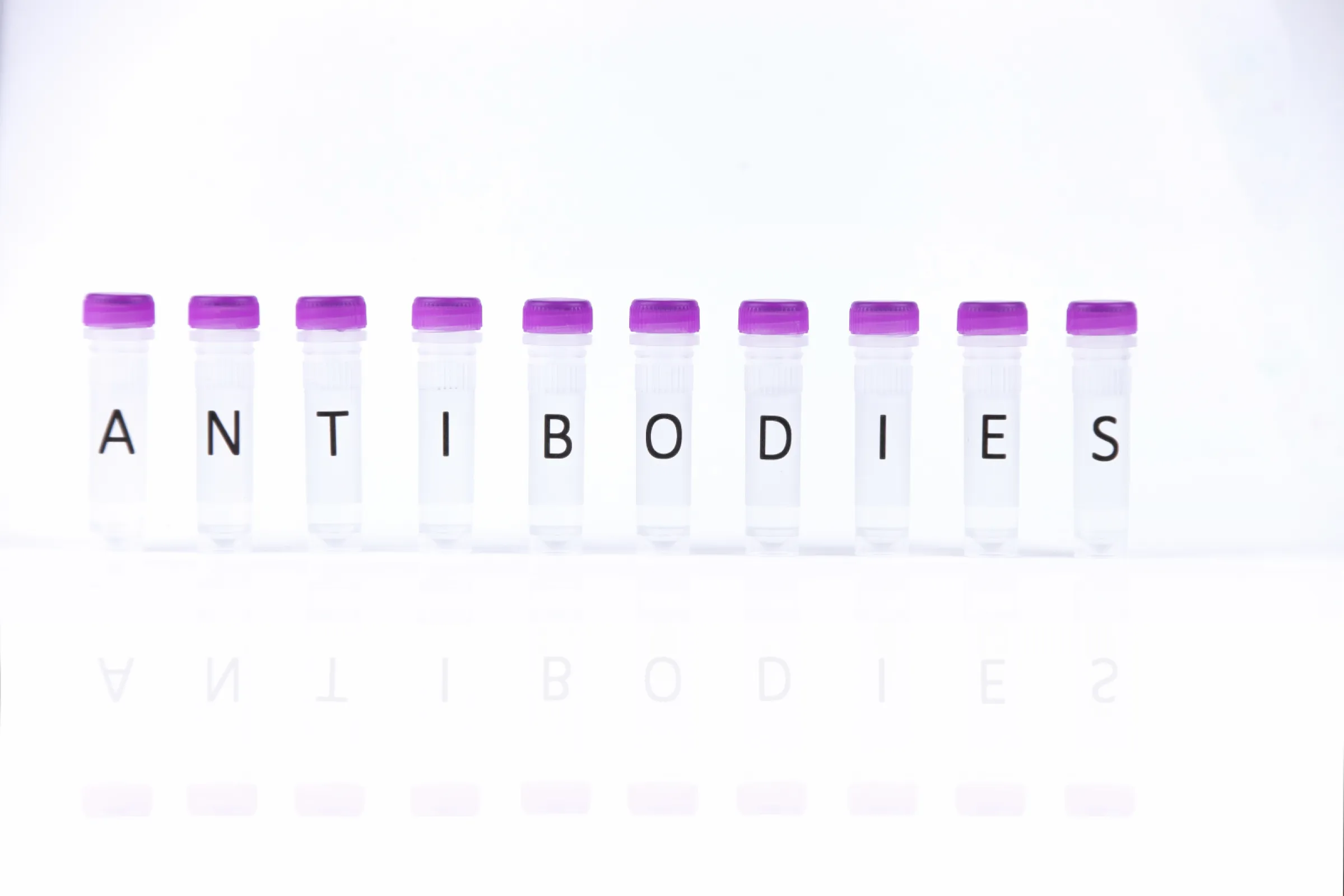 Antibodies