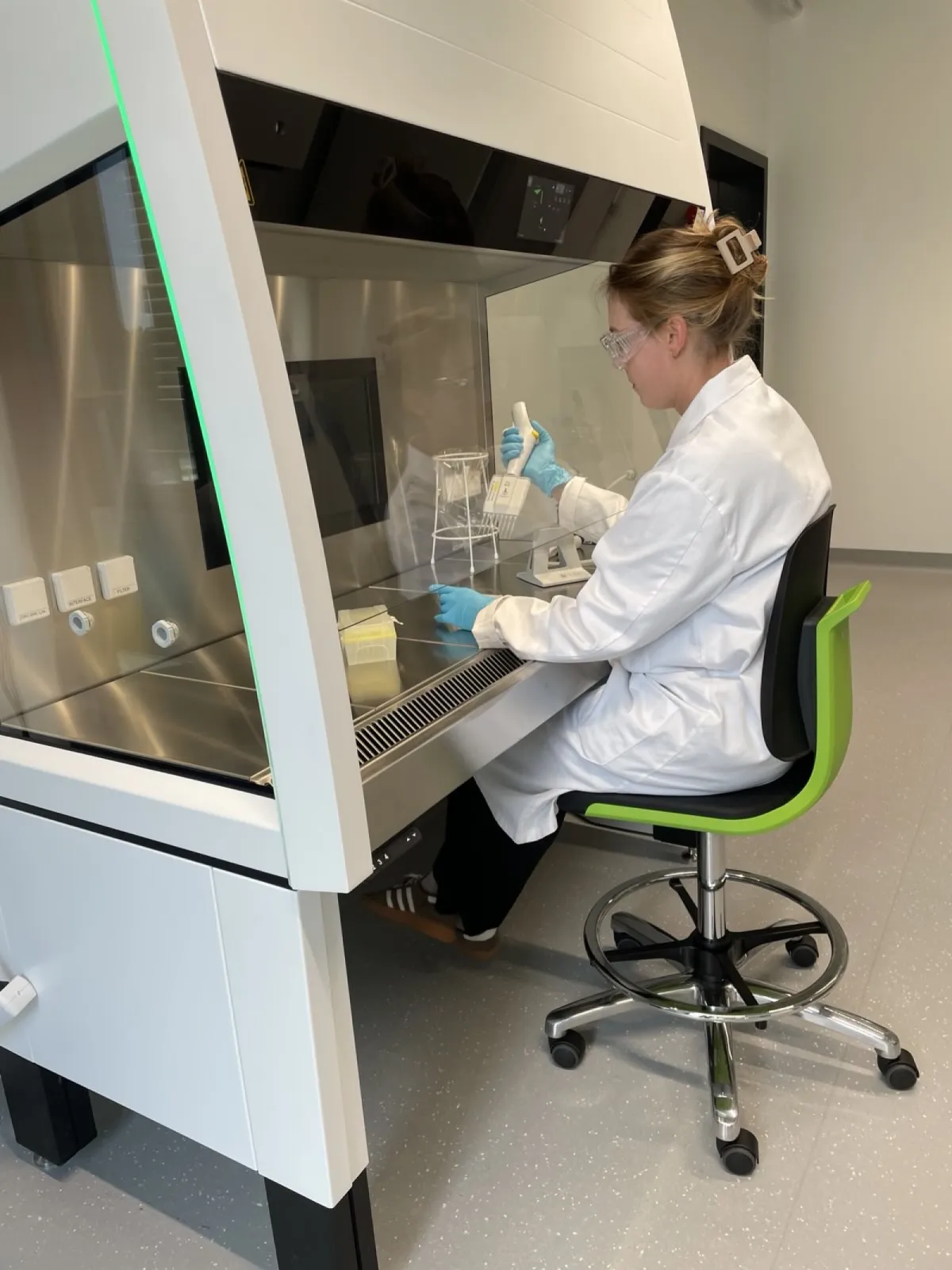 Plating cells at the sterile workbench in the cell-culture room.