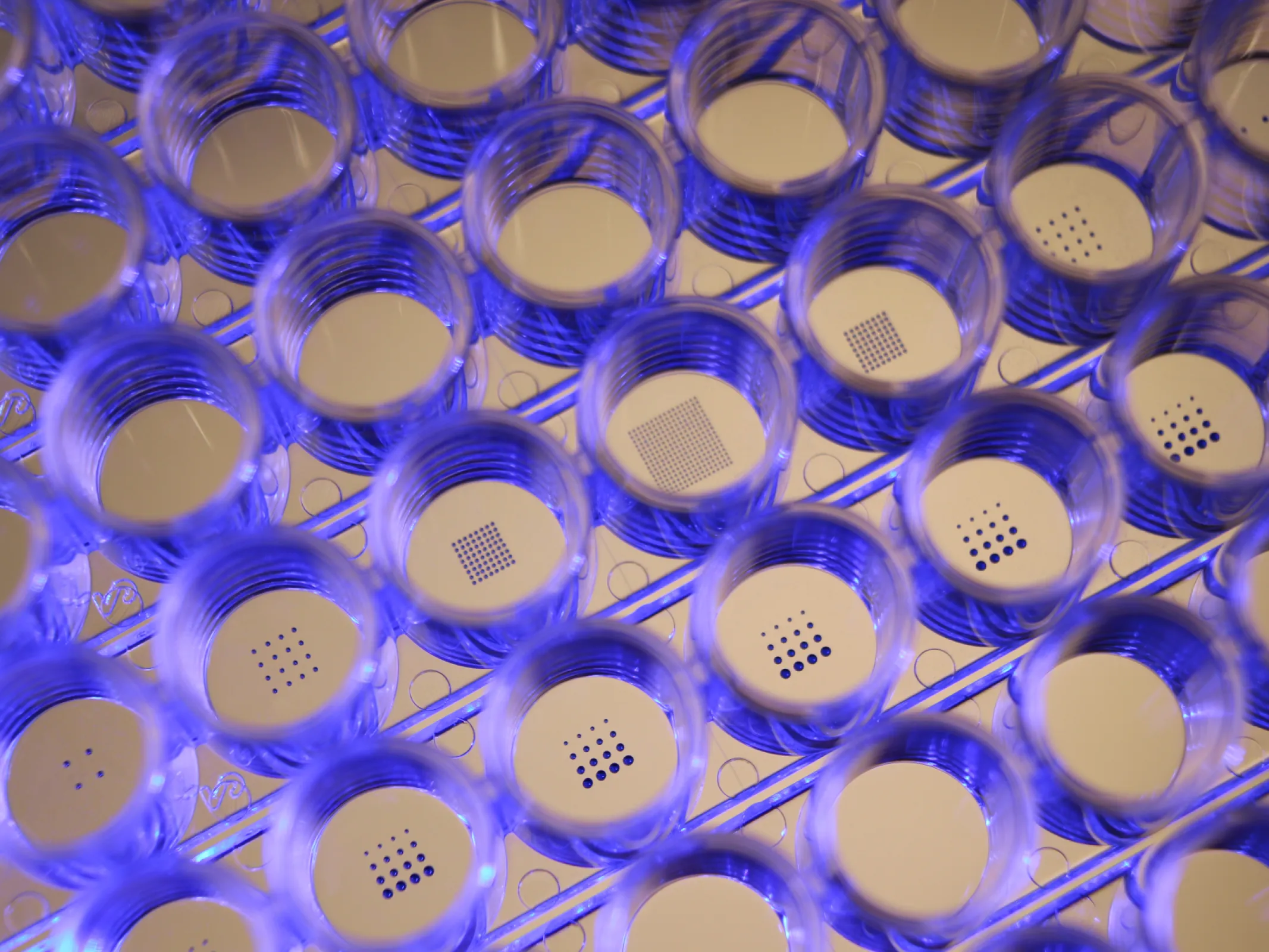 Precision Microarray Printing in MTP Plates