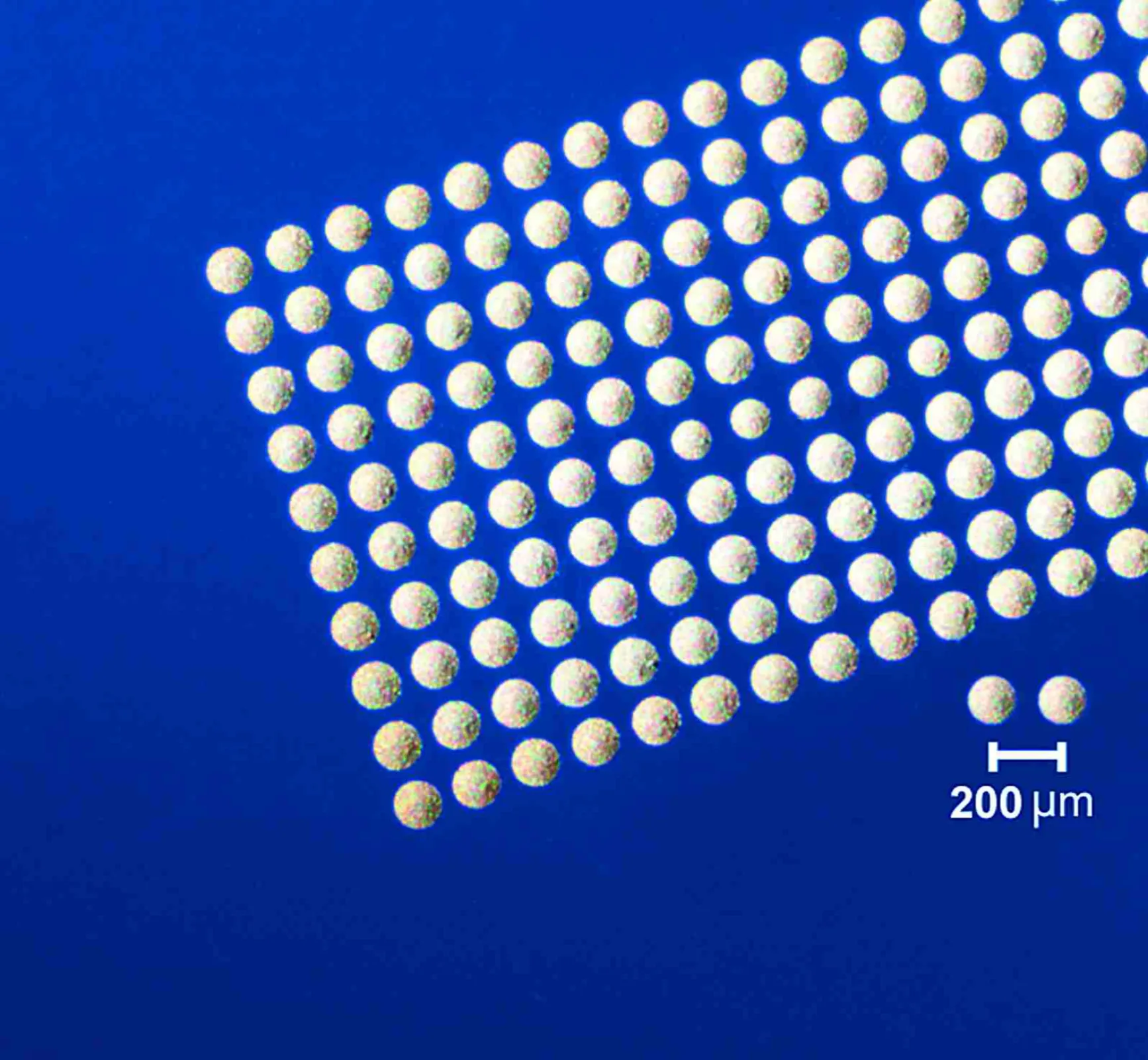 Printed Array of Conductive Ink