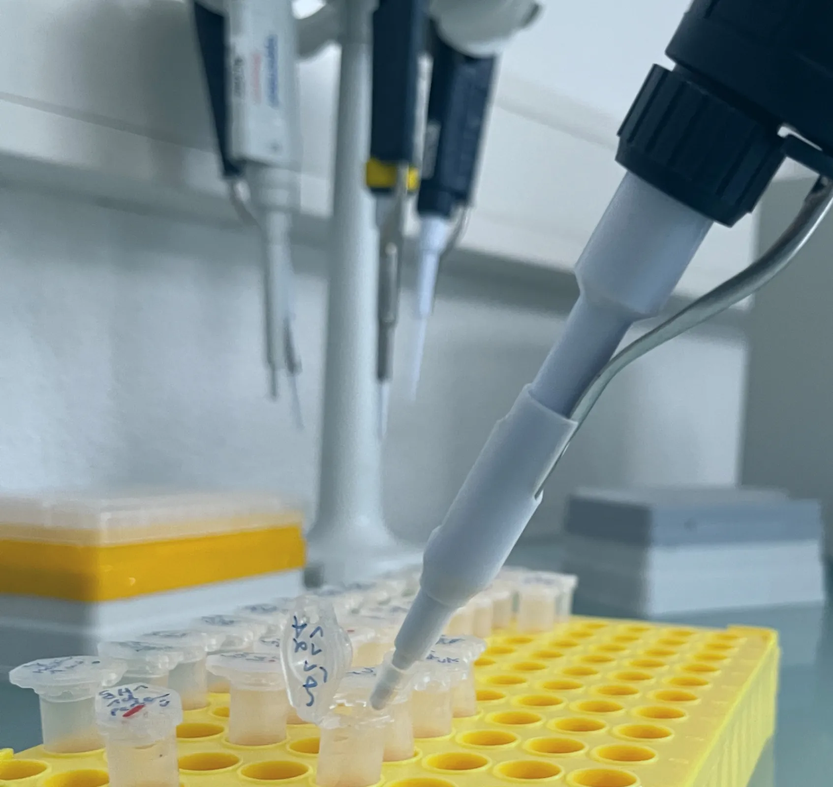 Protein Quantification Service