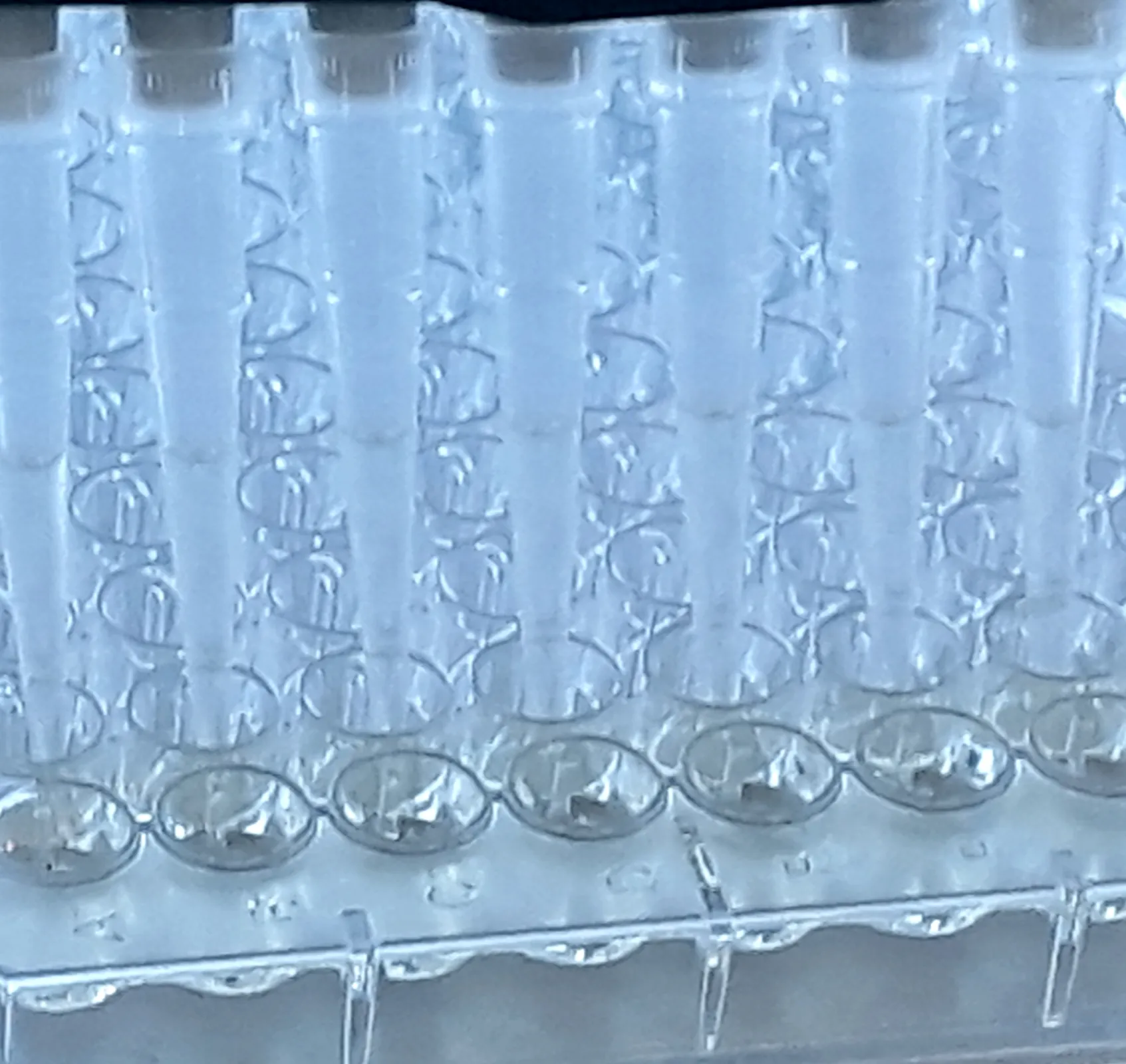 Biomarker Research Services