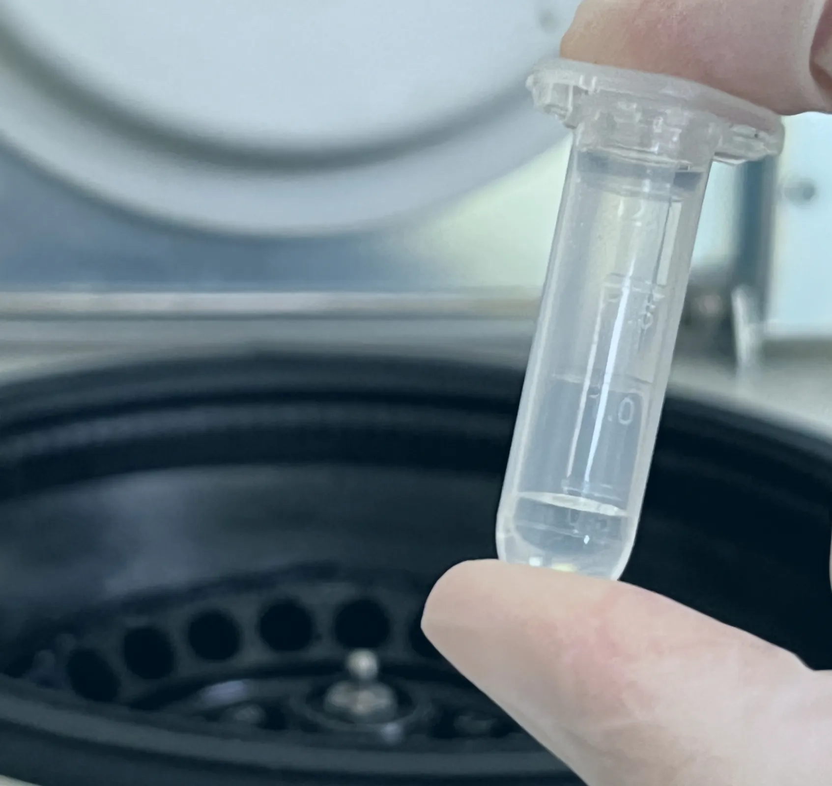 Discovery Proteomics Services