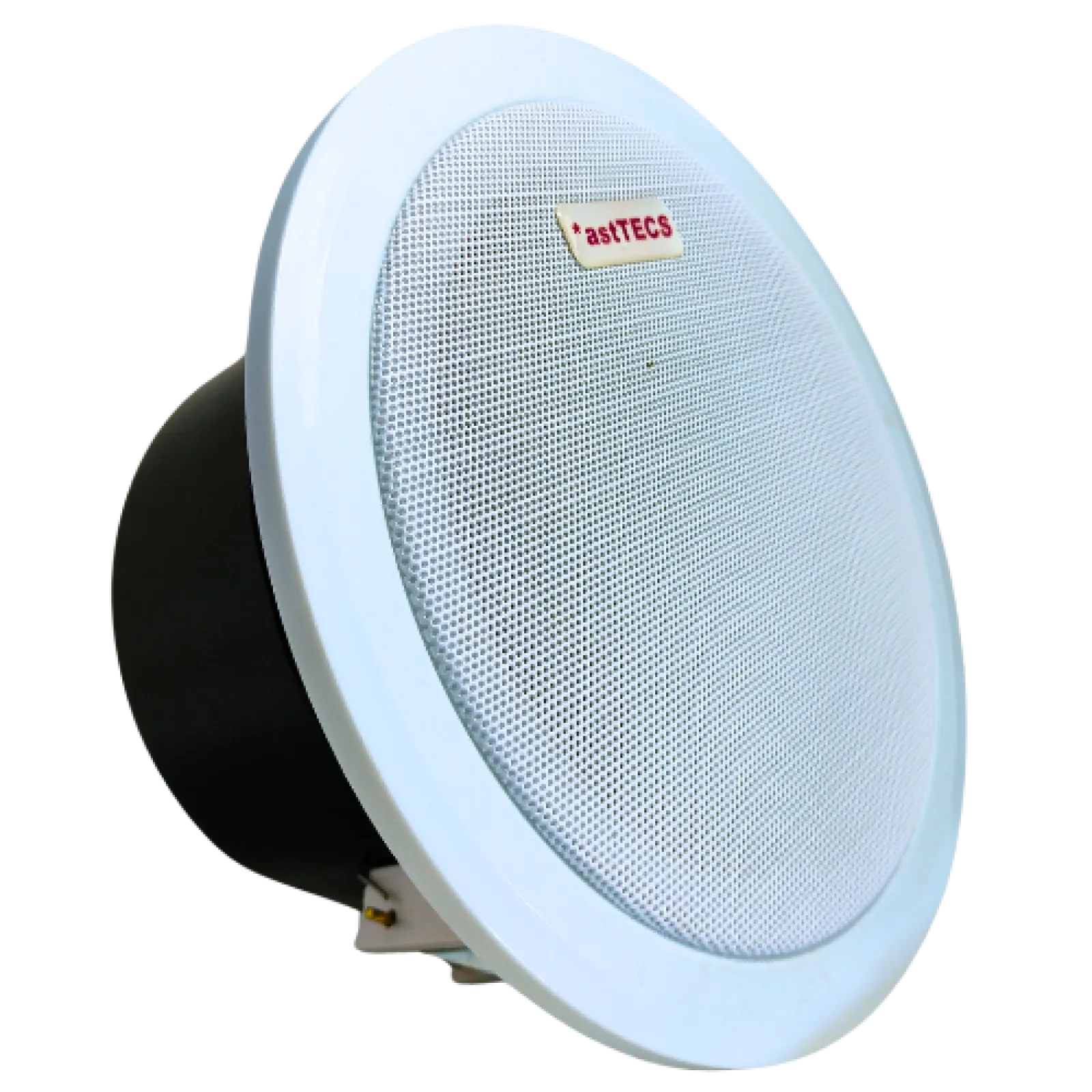 Ceiling IP Speaker