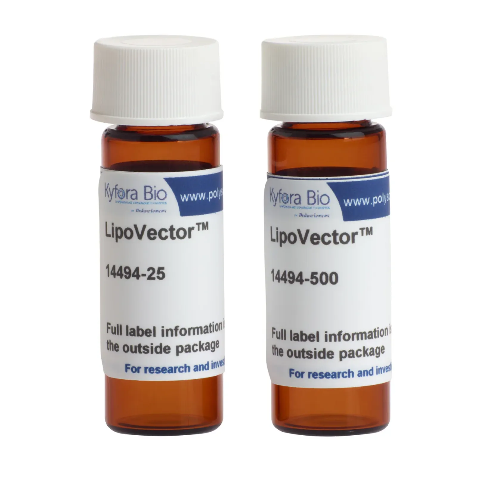 LipoVector™ is our new lipid transfection reagent designed for the delivery of RNA, DNA, and proteins into eukaryotic cells (in vitro and in vivo).