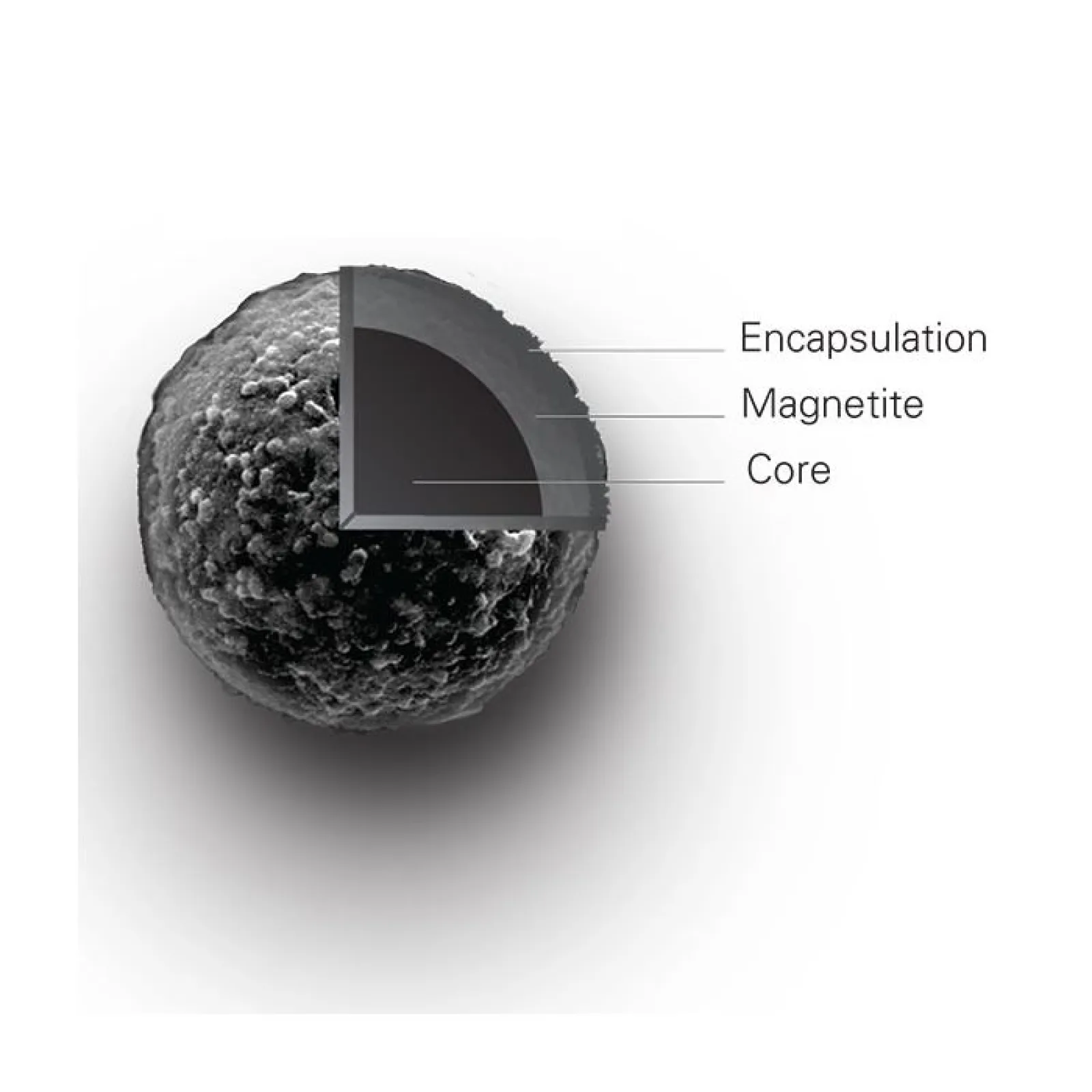 Magnefy™  ~1µm high-performance superparamagnetic microspheres.