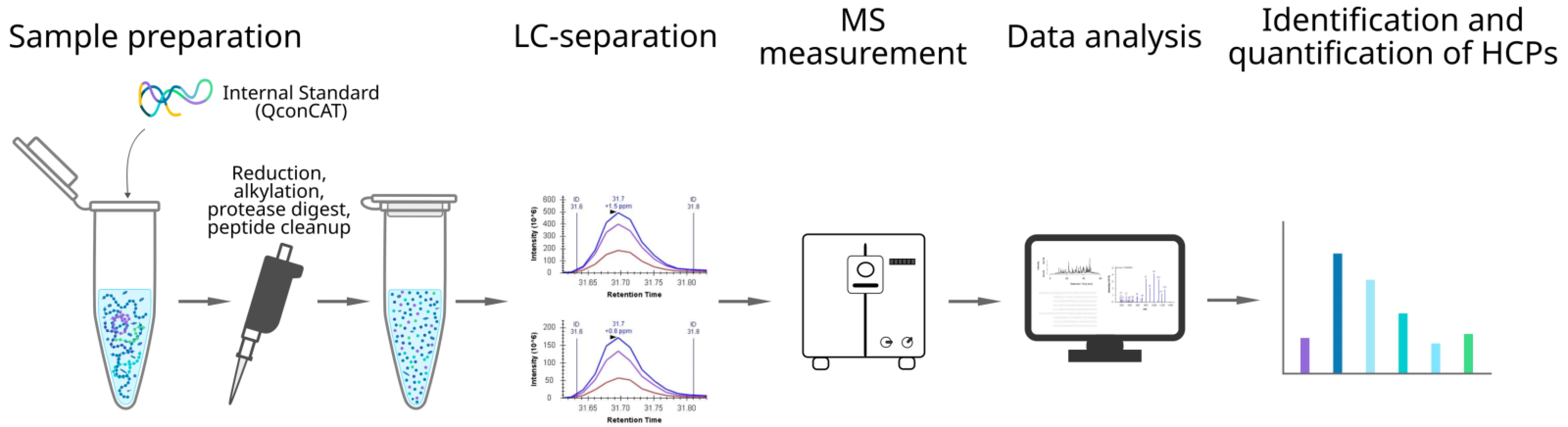 Workflow for HCP analysis using QconCAT reference standards