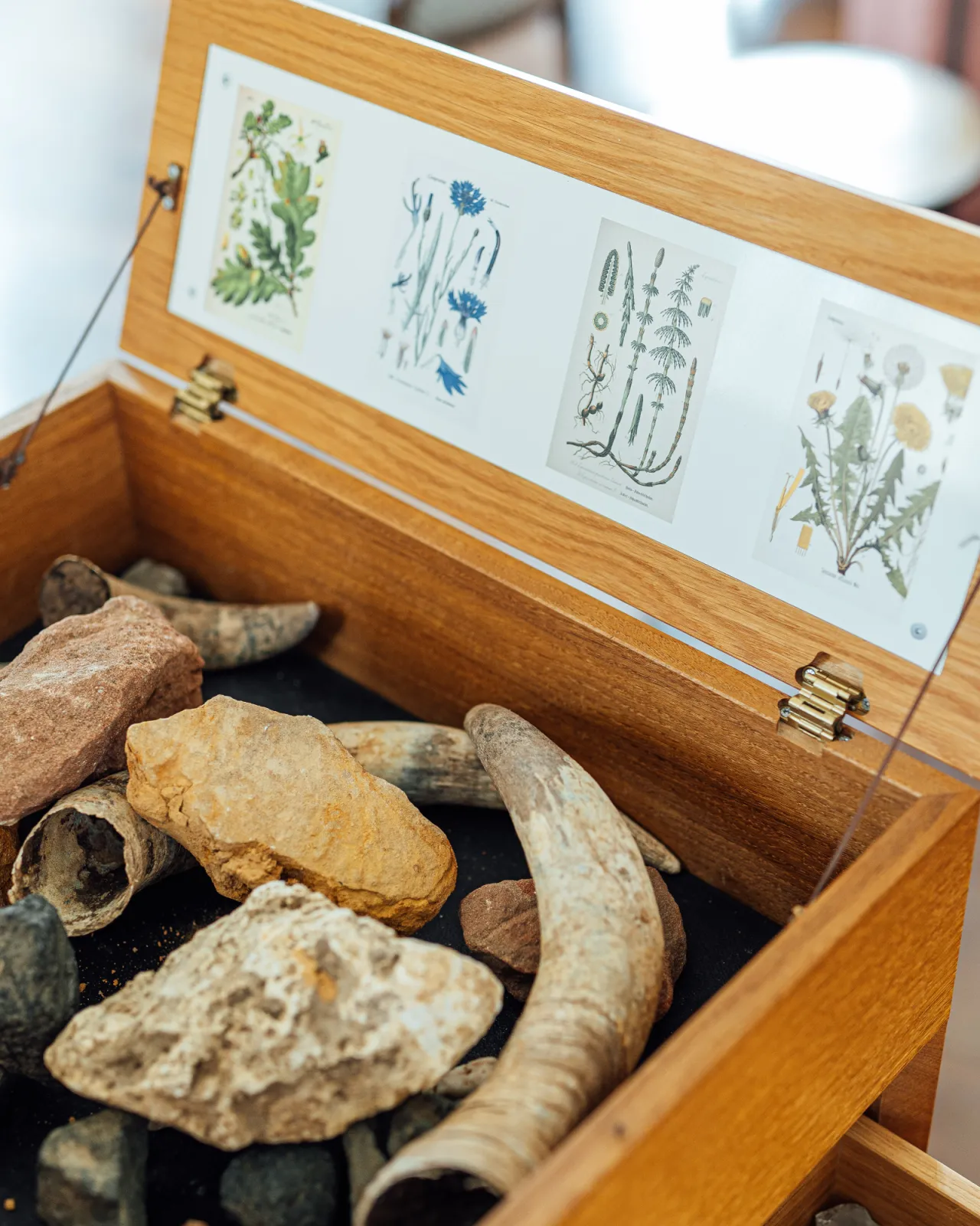 Biodynamic Preparations and the Terroir (© Medienagenten)