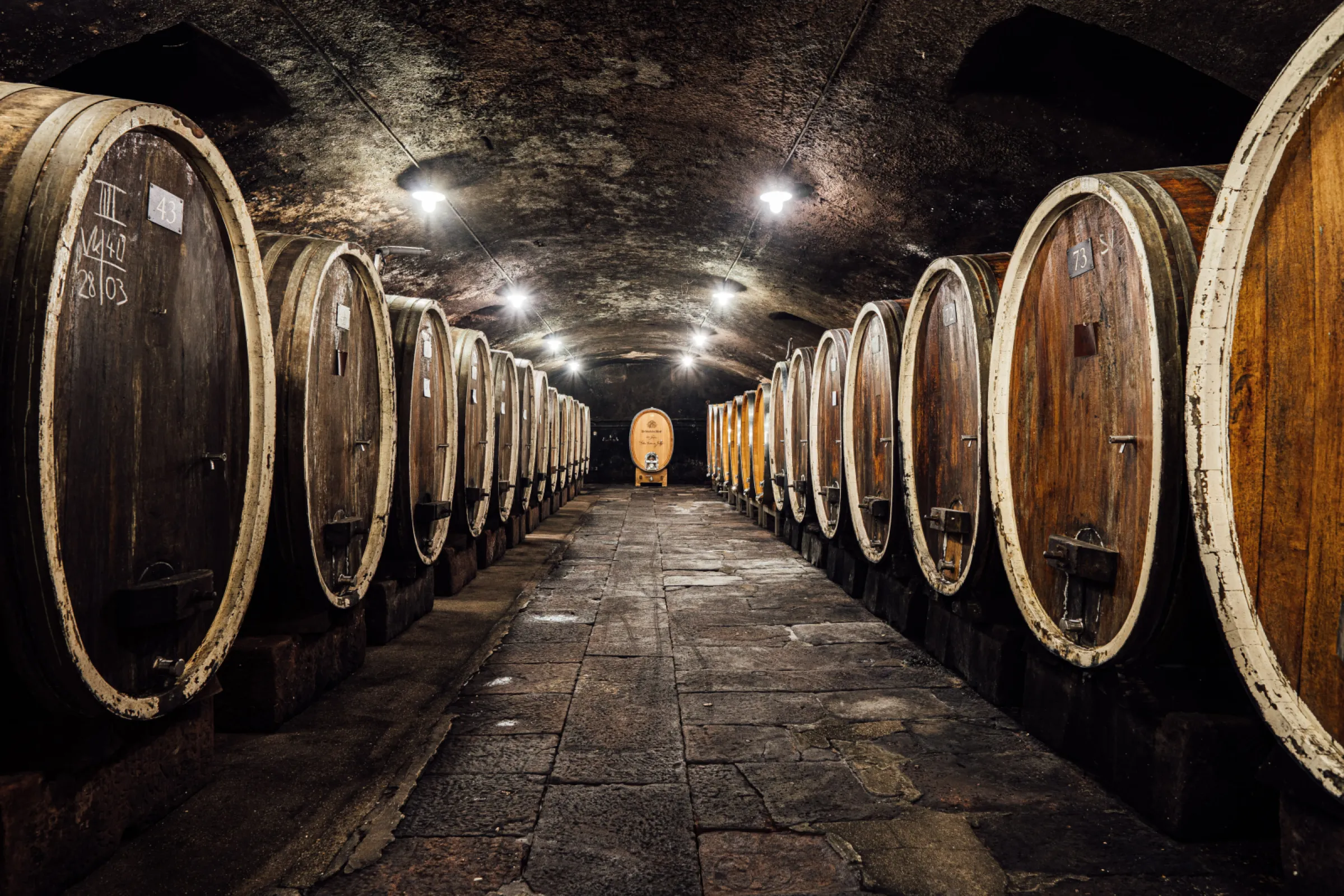The Wine Cellar (© Medienagenten)