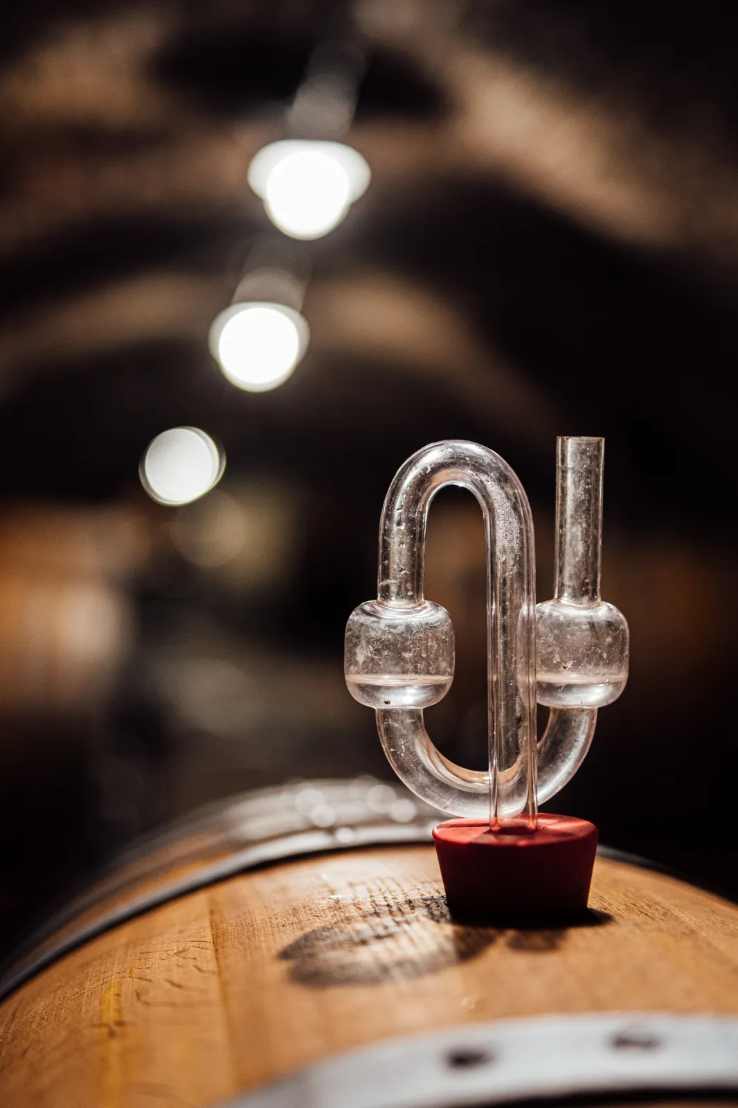 Fermenting Wine Barrel (© Medienagenten)