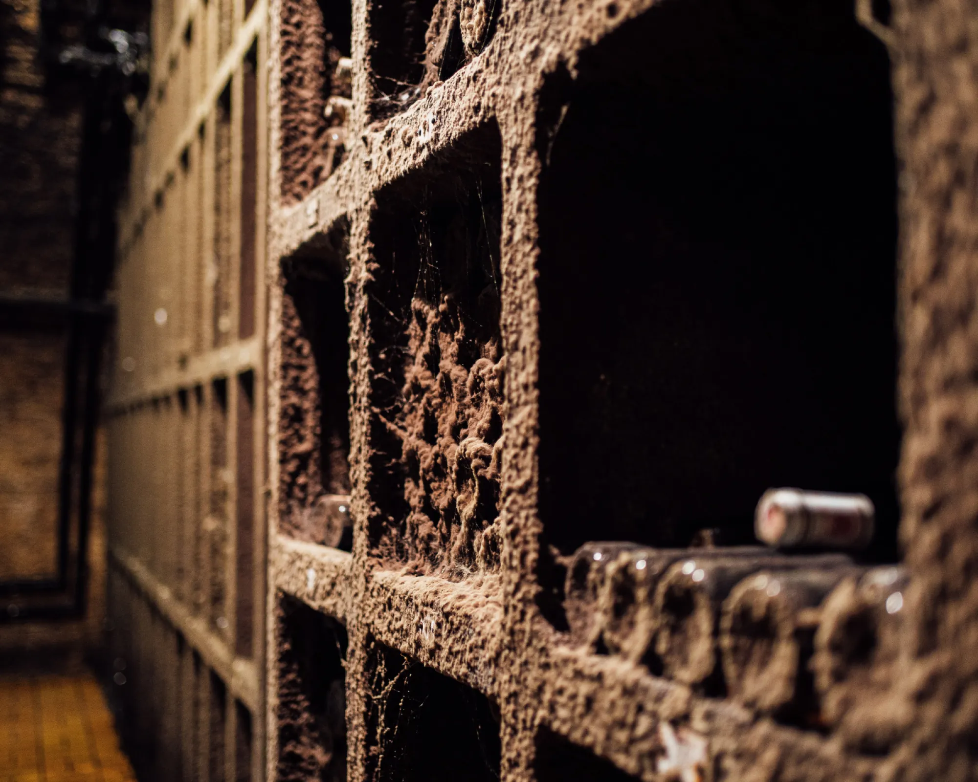 The Wine Archives (© Medienagenten)