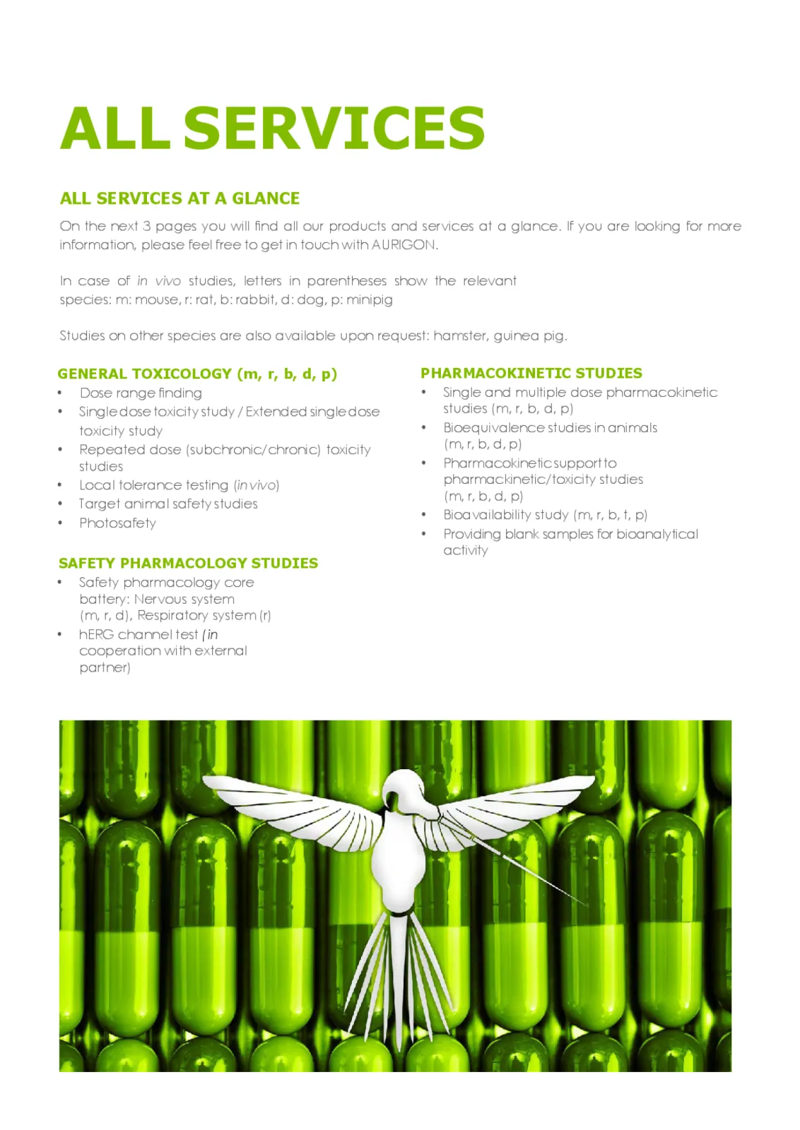 Flyer "All services" - page 2