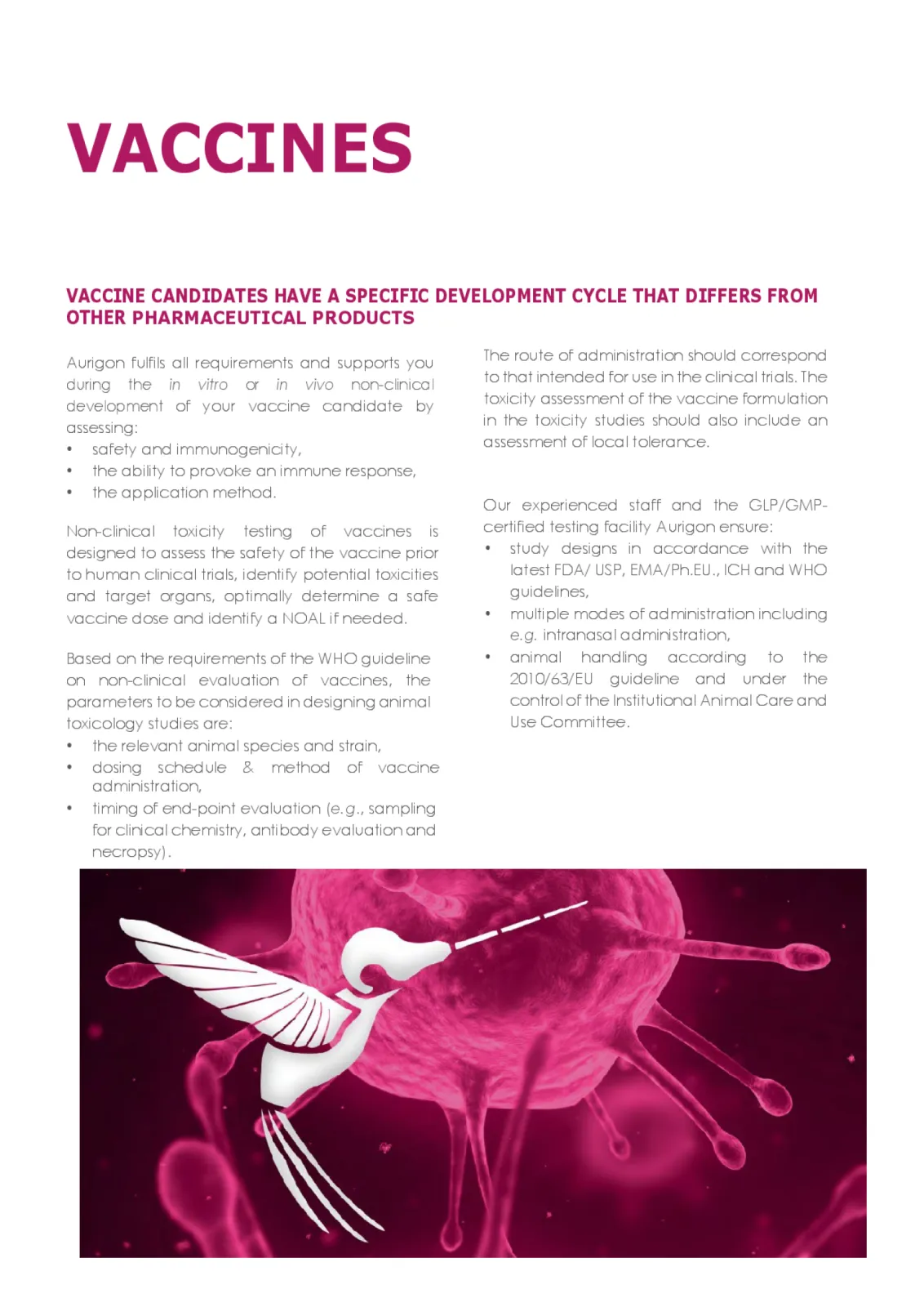 Flyer "Vaccines" - page 2