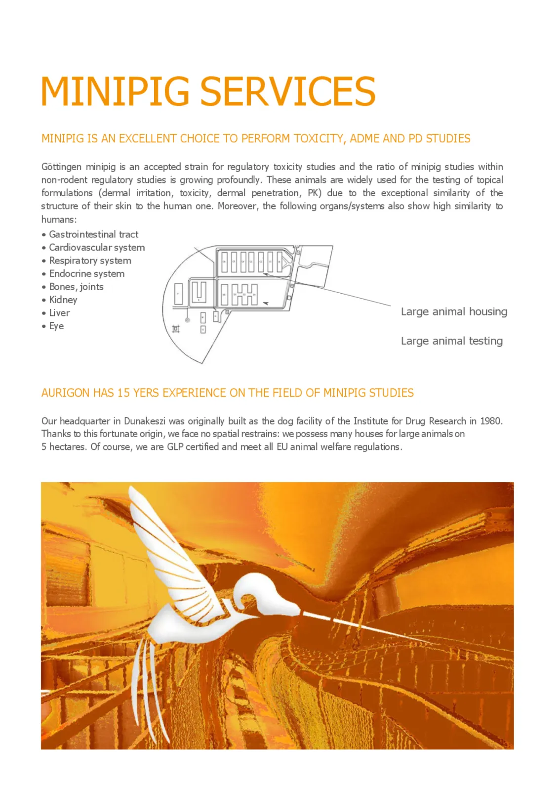 Flyer "Minipig Services" - page 2