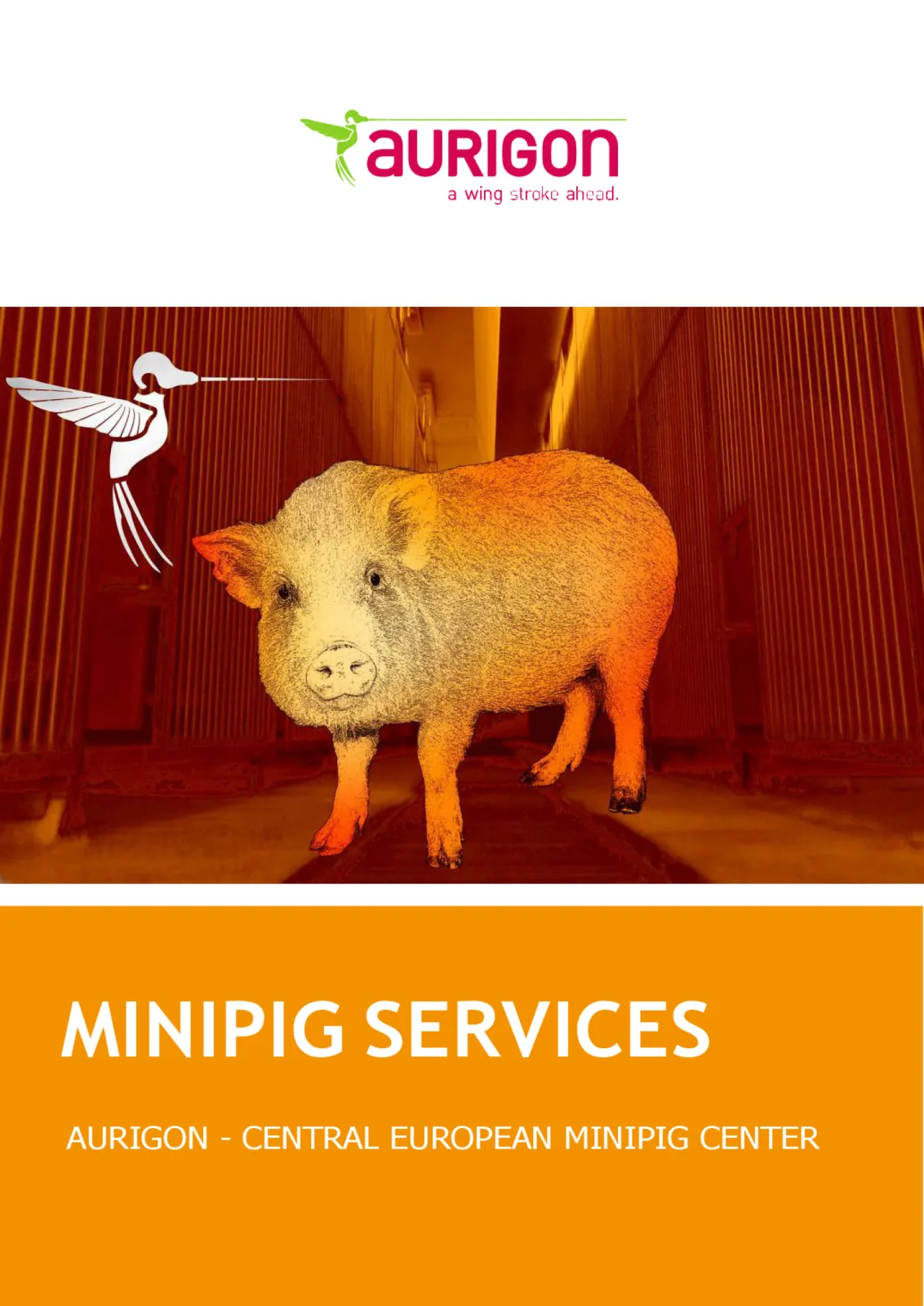 Flyer "Minipig Services" - page 1