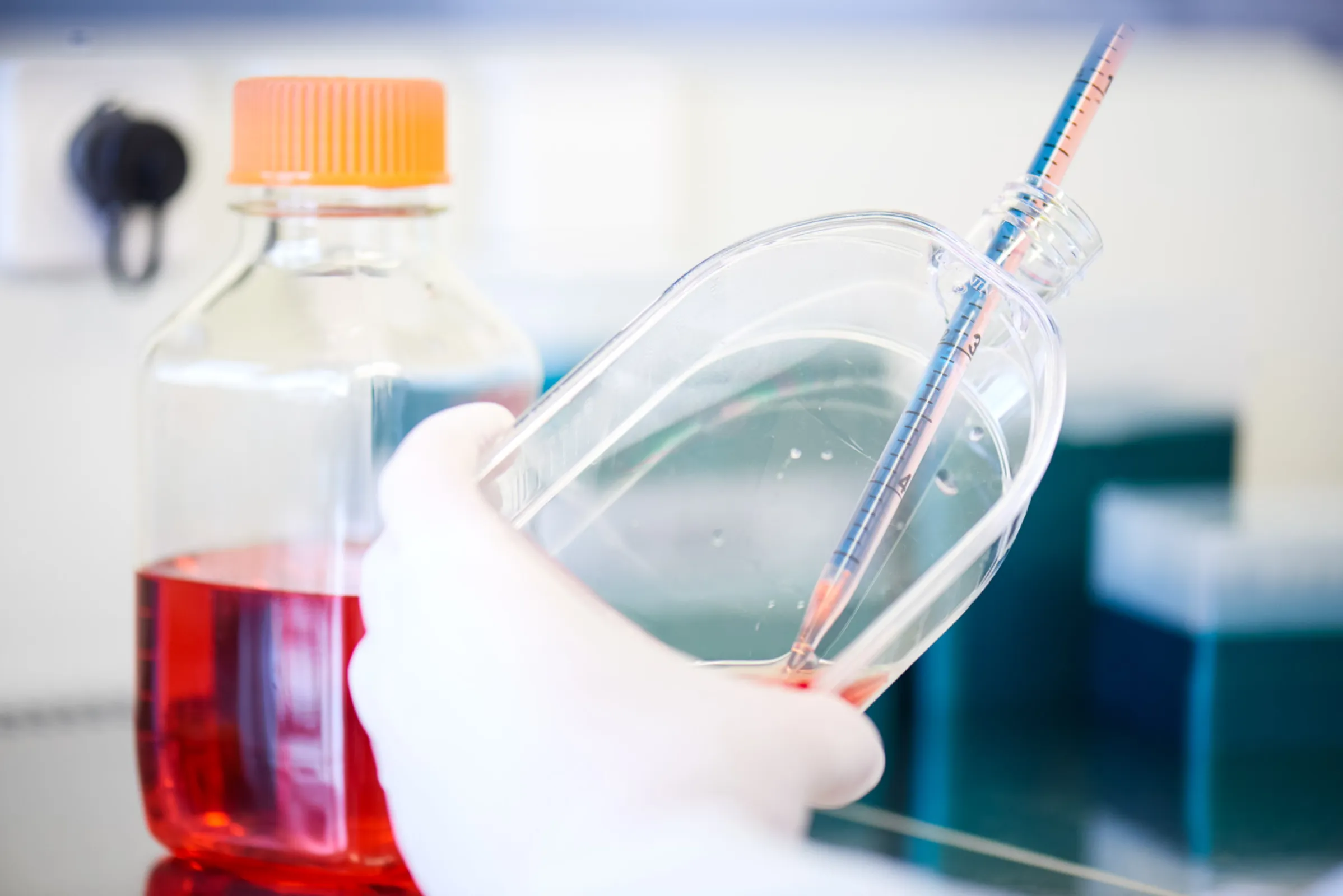 Customized Cell Line Development Service