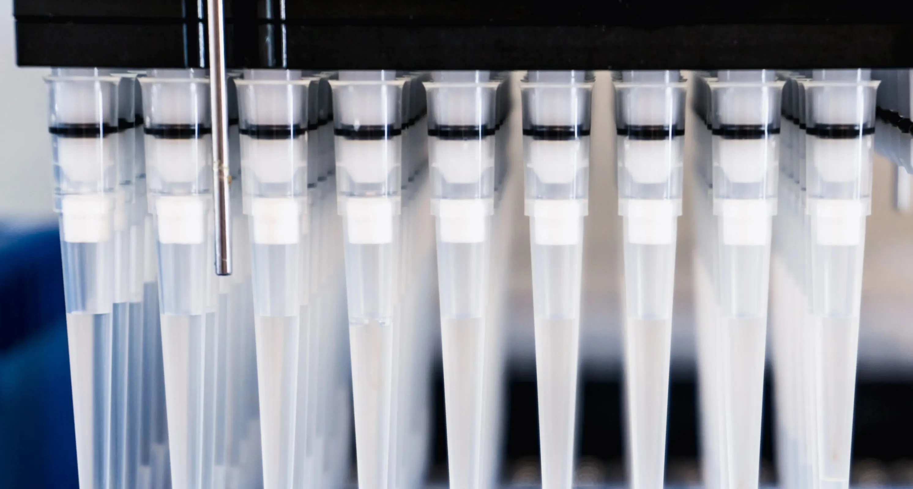 High-Throughput Protein Expression Screening Service