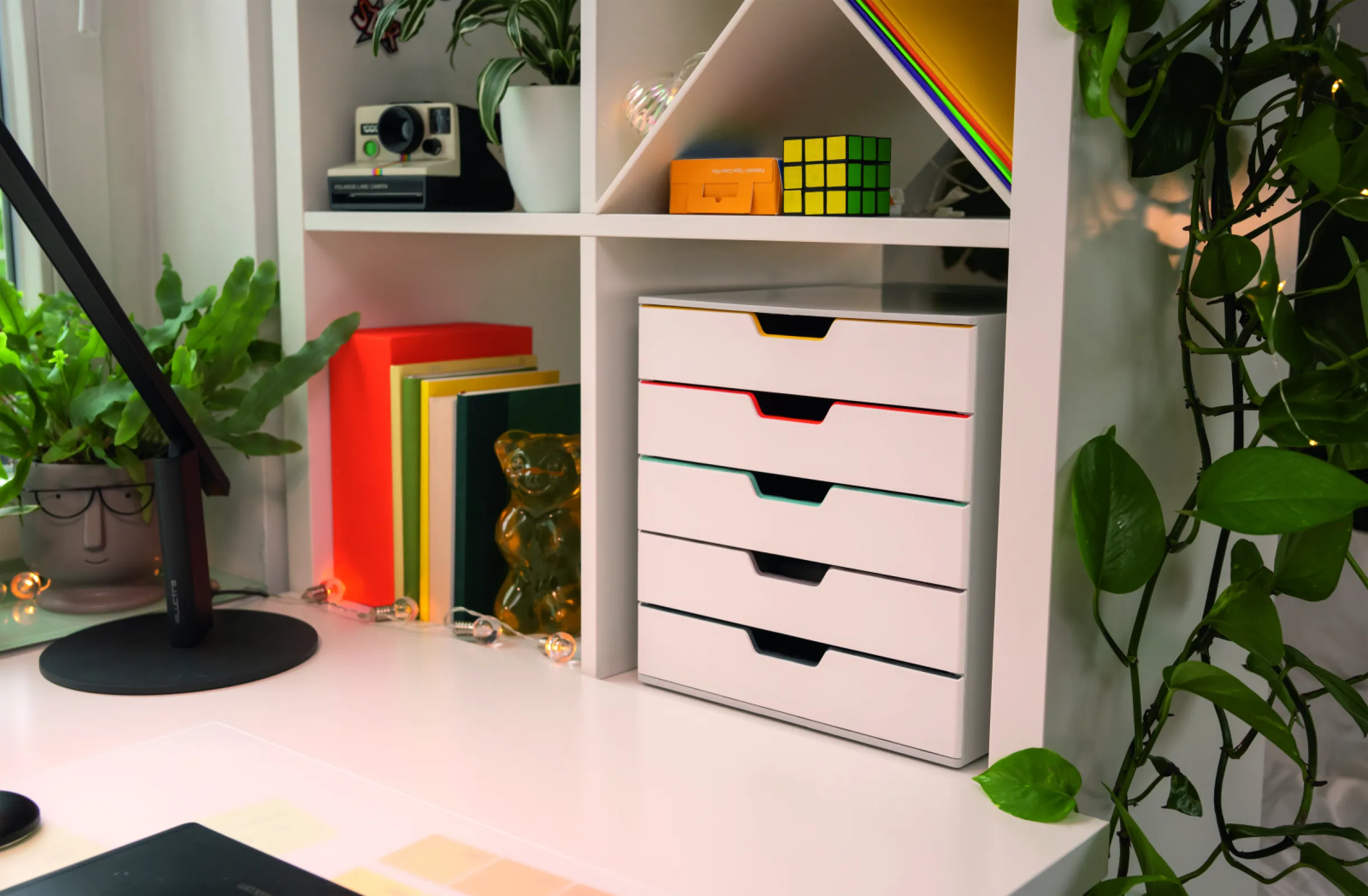 Drawer box VARICOLOR® MIX 5