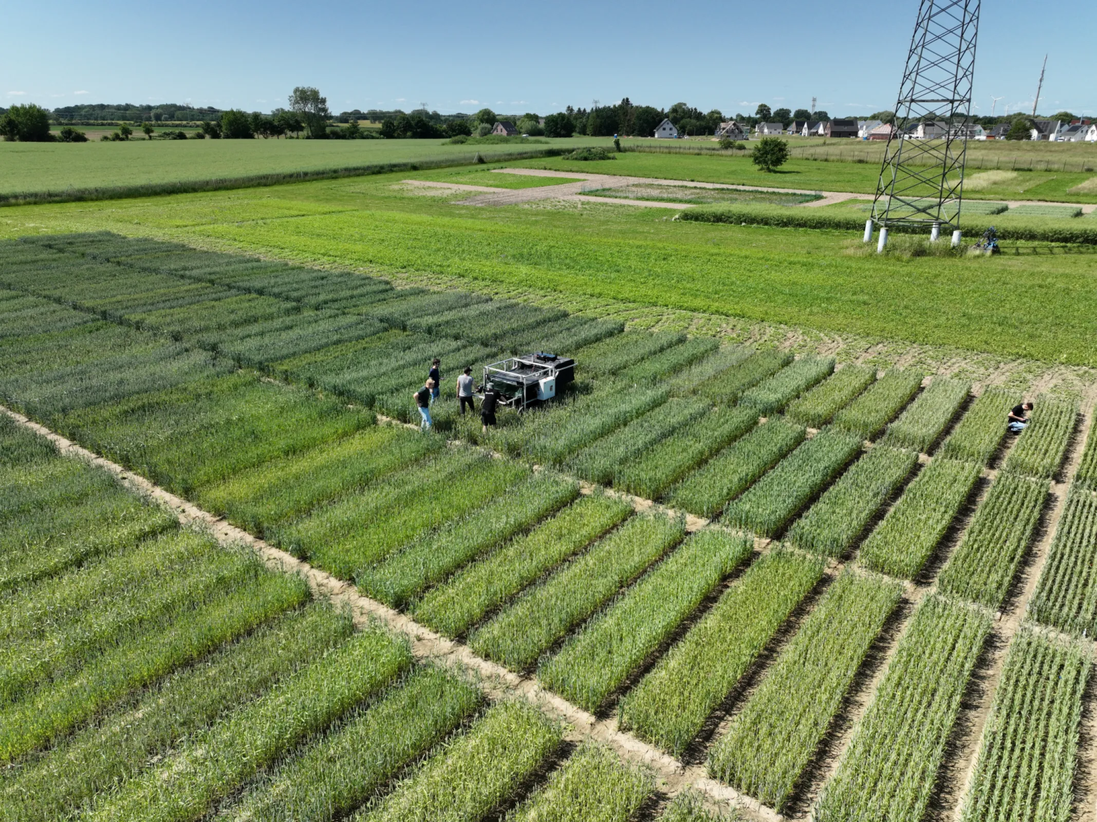Digital Automated Phenotyping