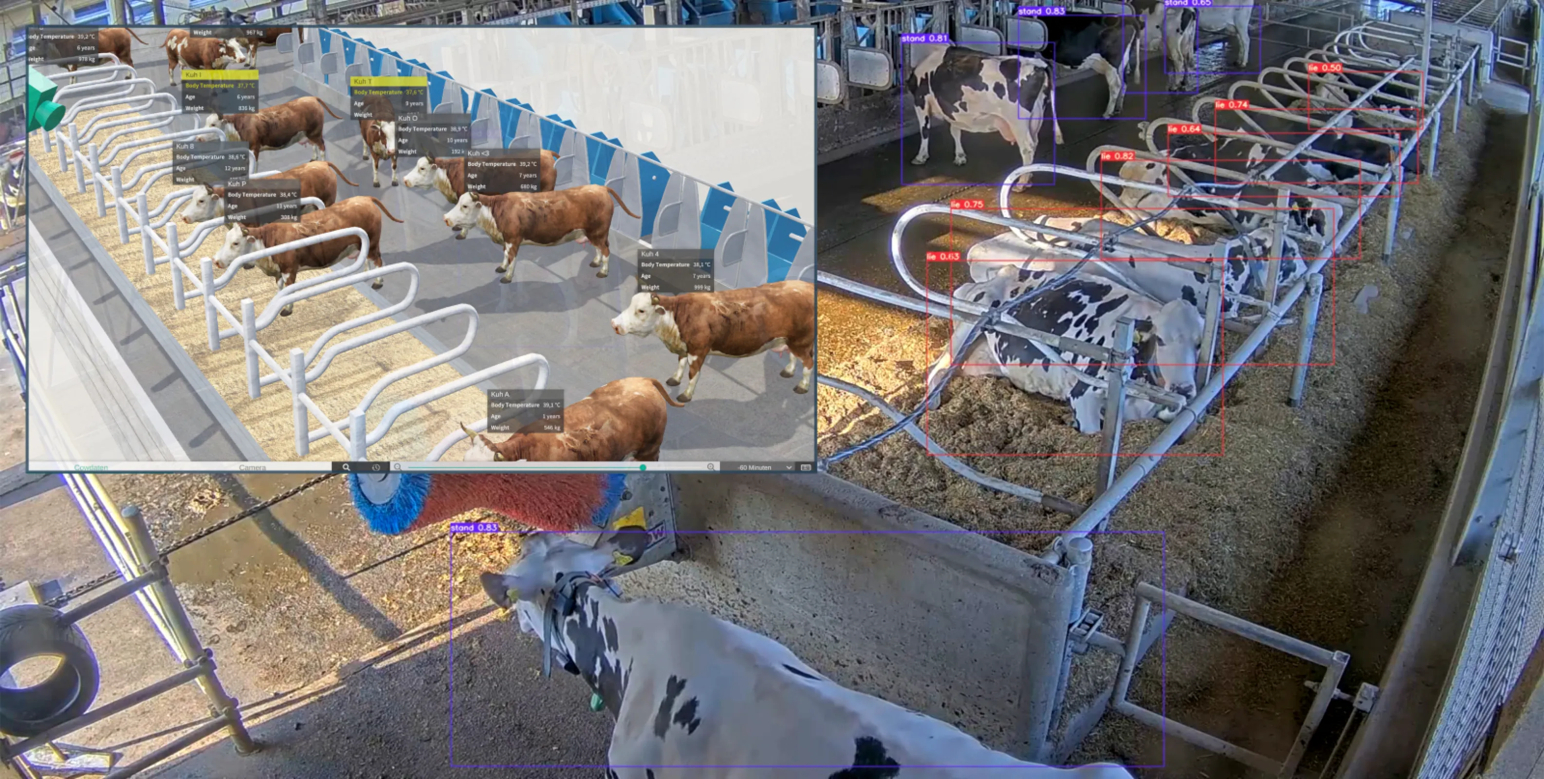 Cow Welfare Detection