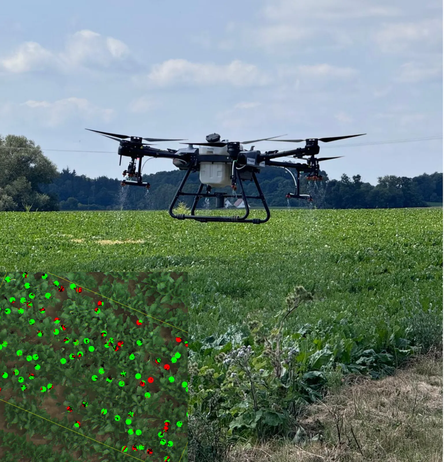 AI-Assisted Plant Disease Detection and Precision Spot Spraying
