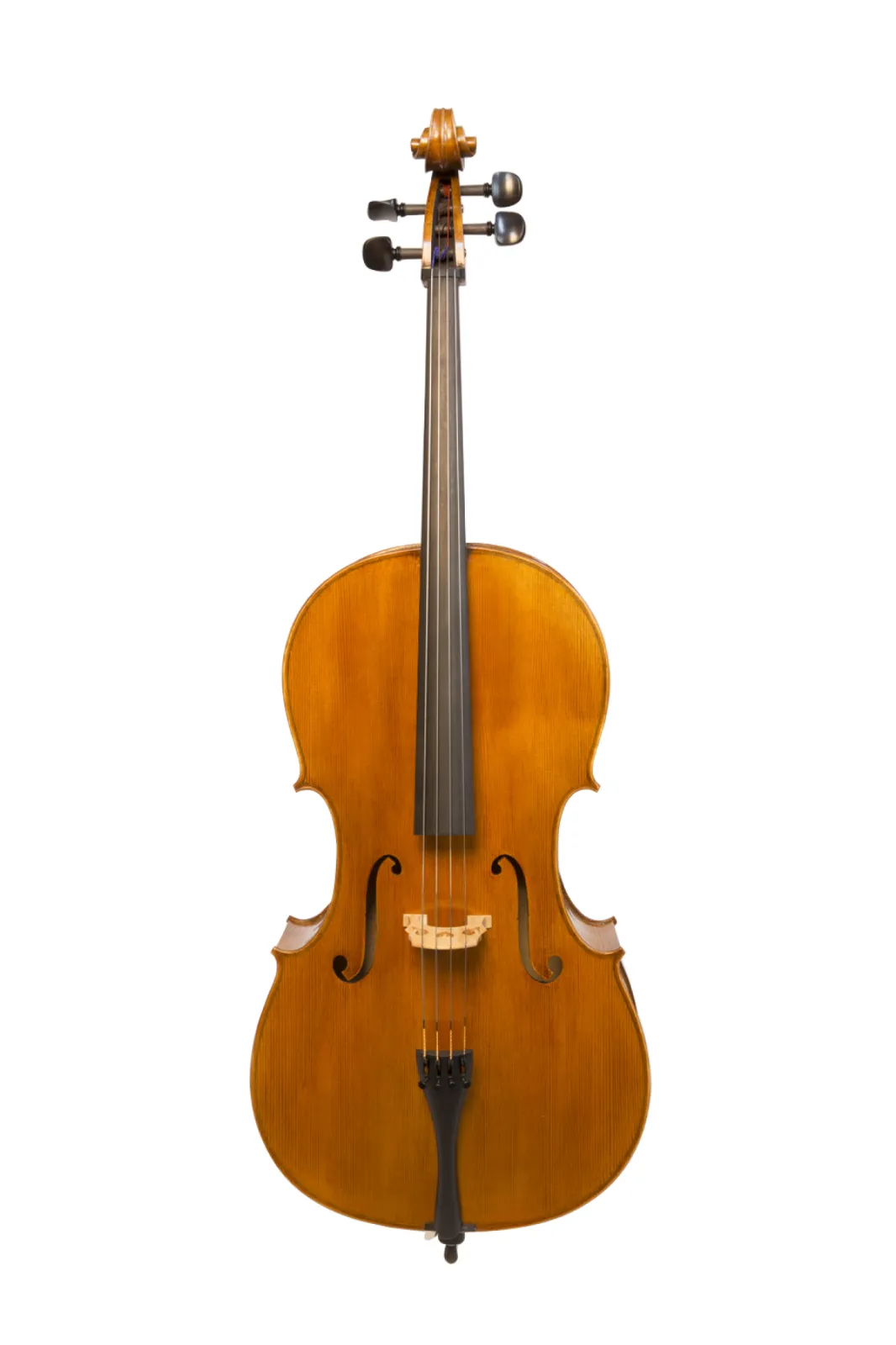 Rudolf Premium Cello front