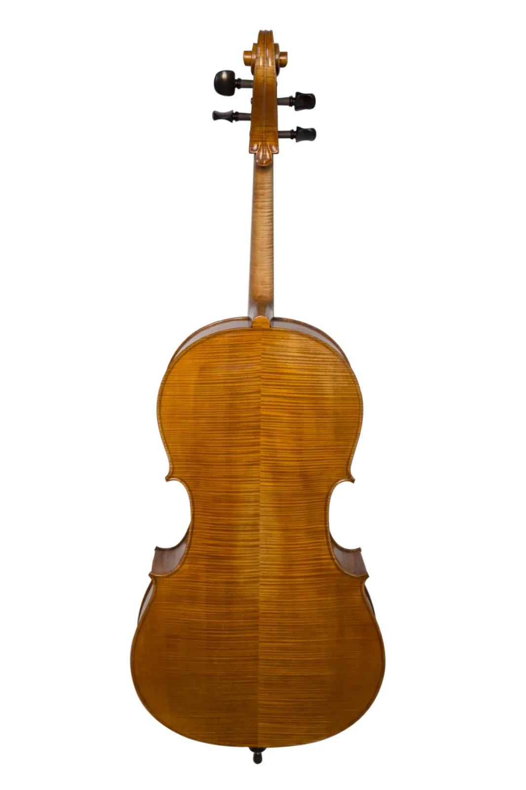 Rudolf Premium Cello back