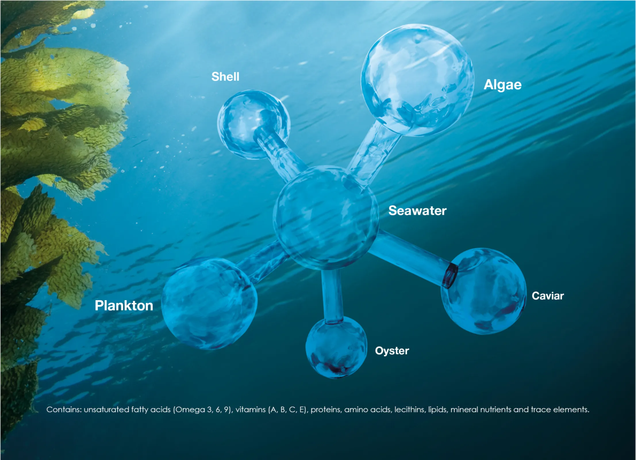 DALTON Celumer Marine Extract: Anti-Aging in perfection