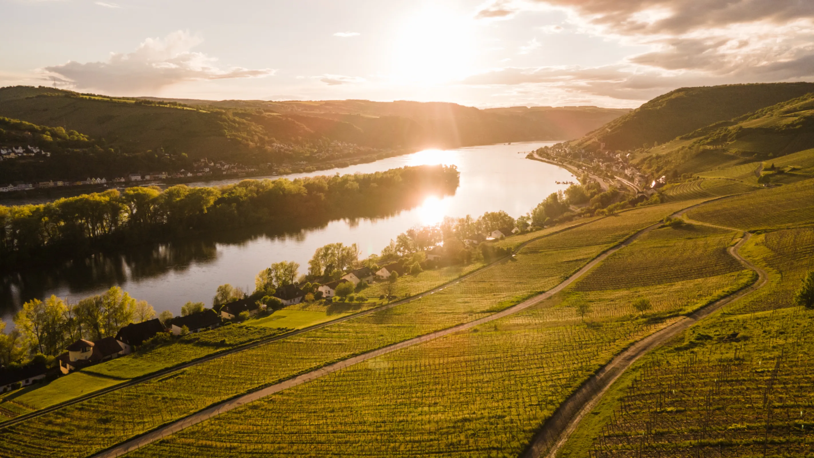 River Rhine - guarantees an excellent climate in our slopy vineyards