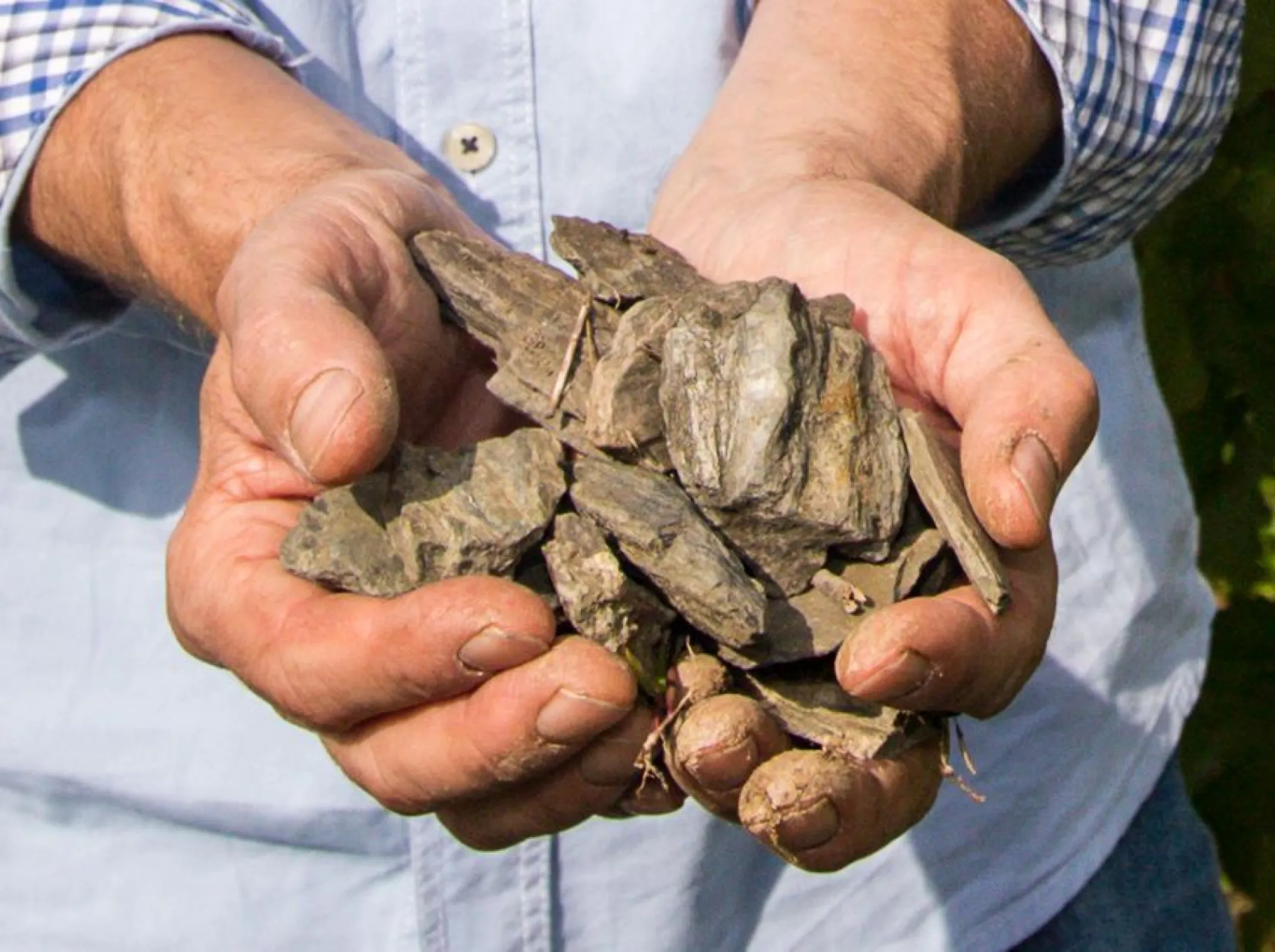 Our terroir - pure minerality for top-level wines