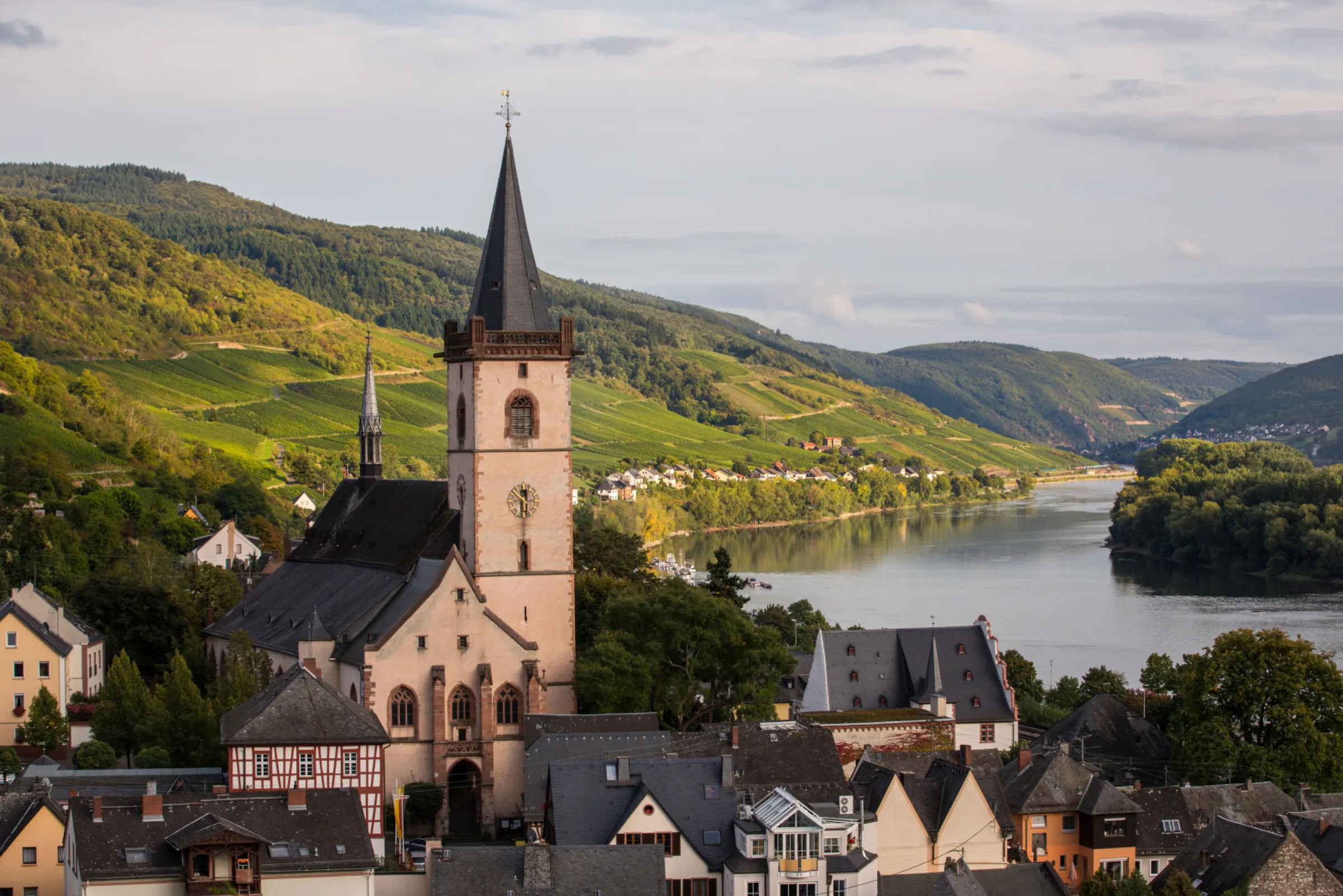 Lorch, Rheingau – Steep-slope terroir, where vitality meets international elegance.