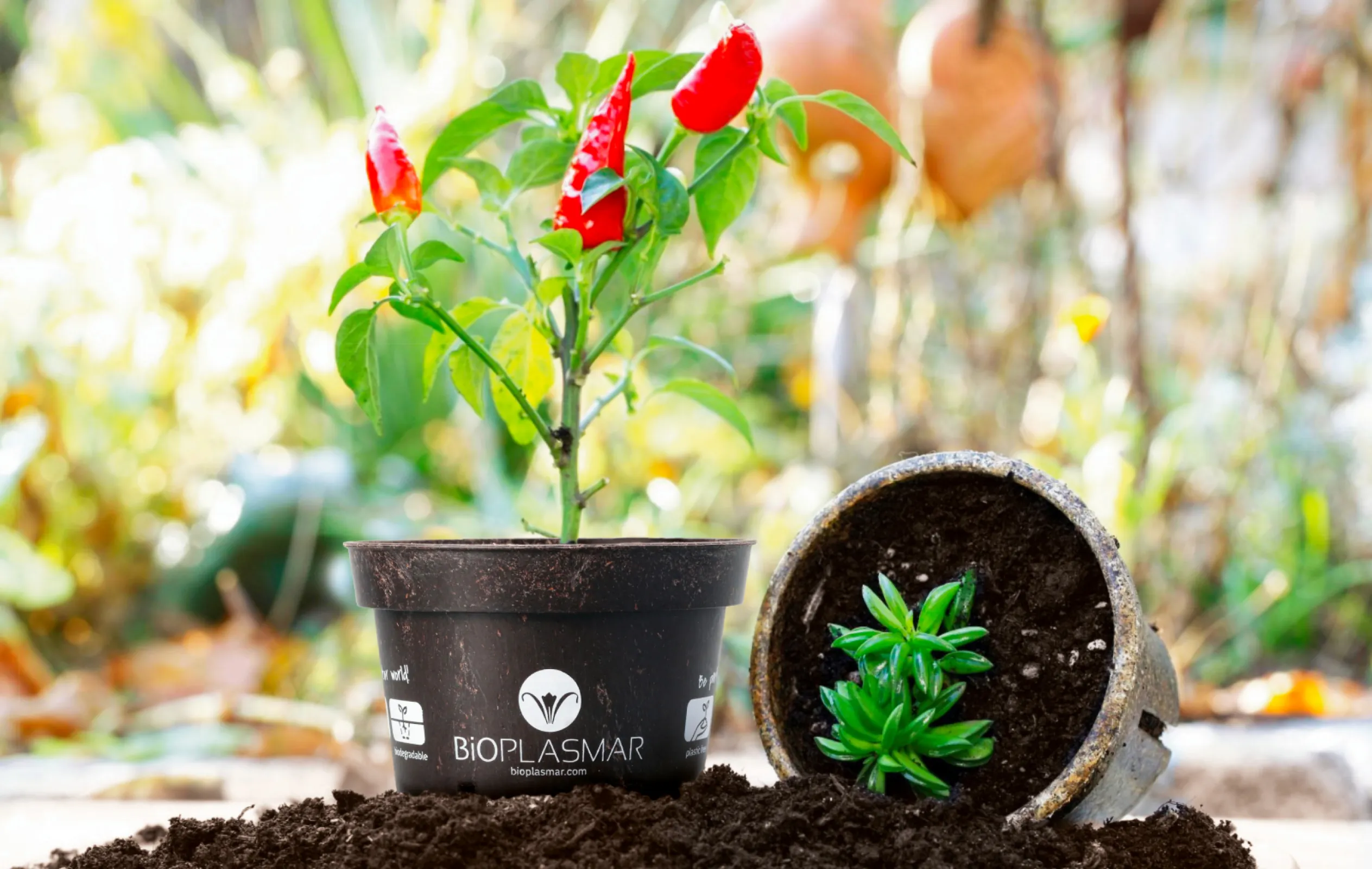 Biodegradable material for agriculture