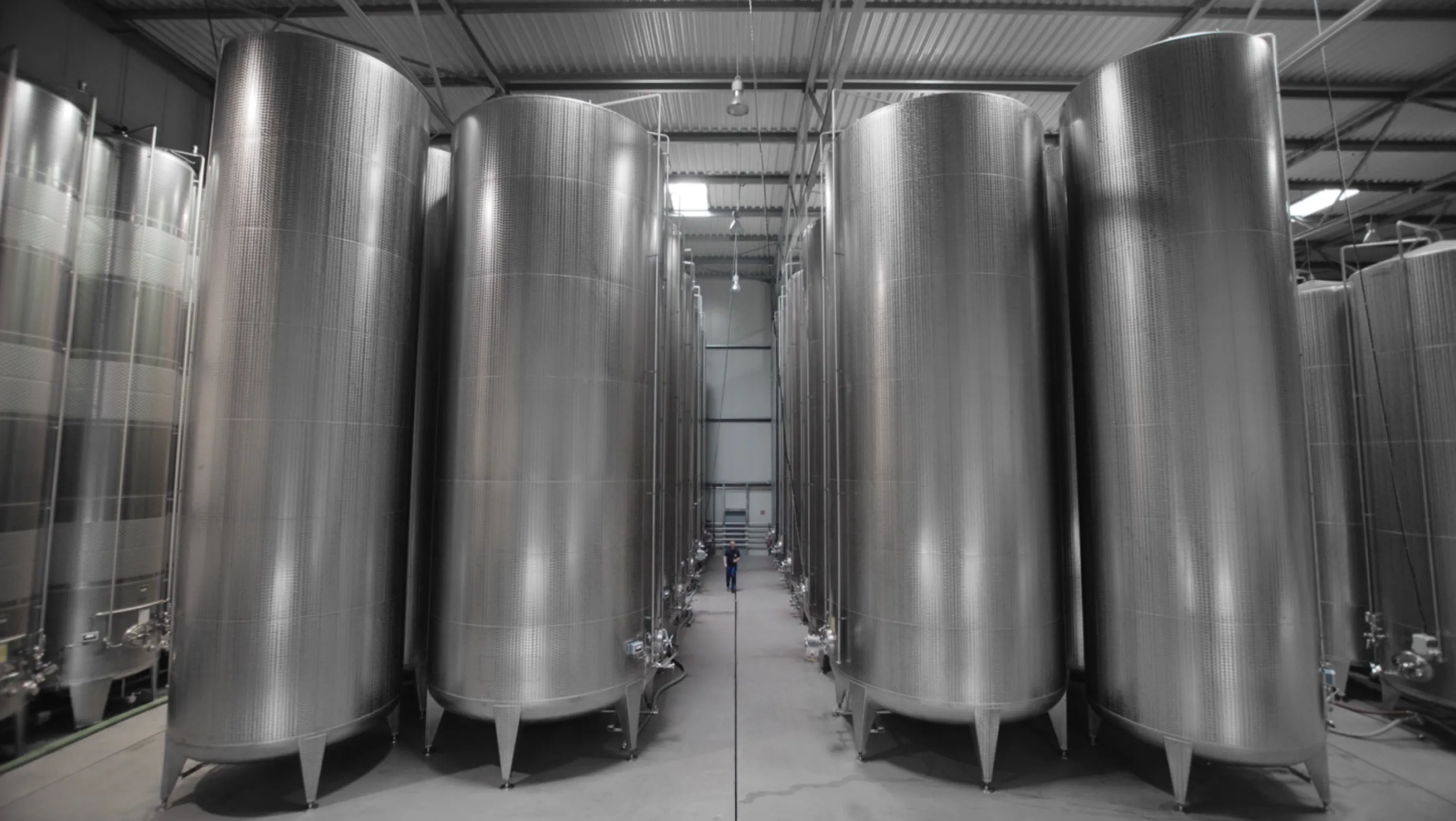 At present, our tanks hold 10 million liters. Our in-house production, in collaboration with long-standing partners, allows us to bottle 20,000 bottles of wine per hour.